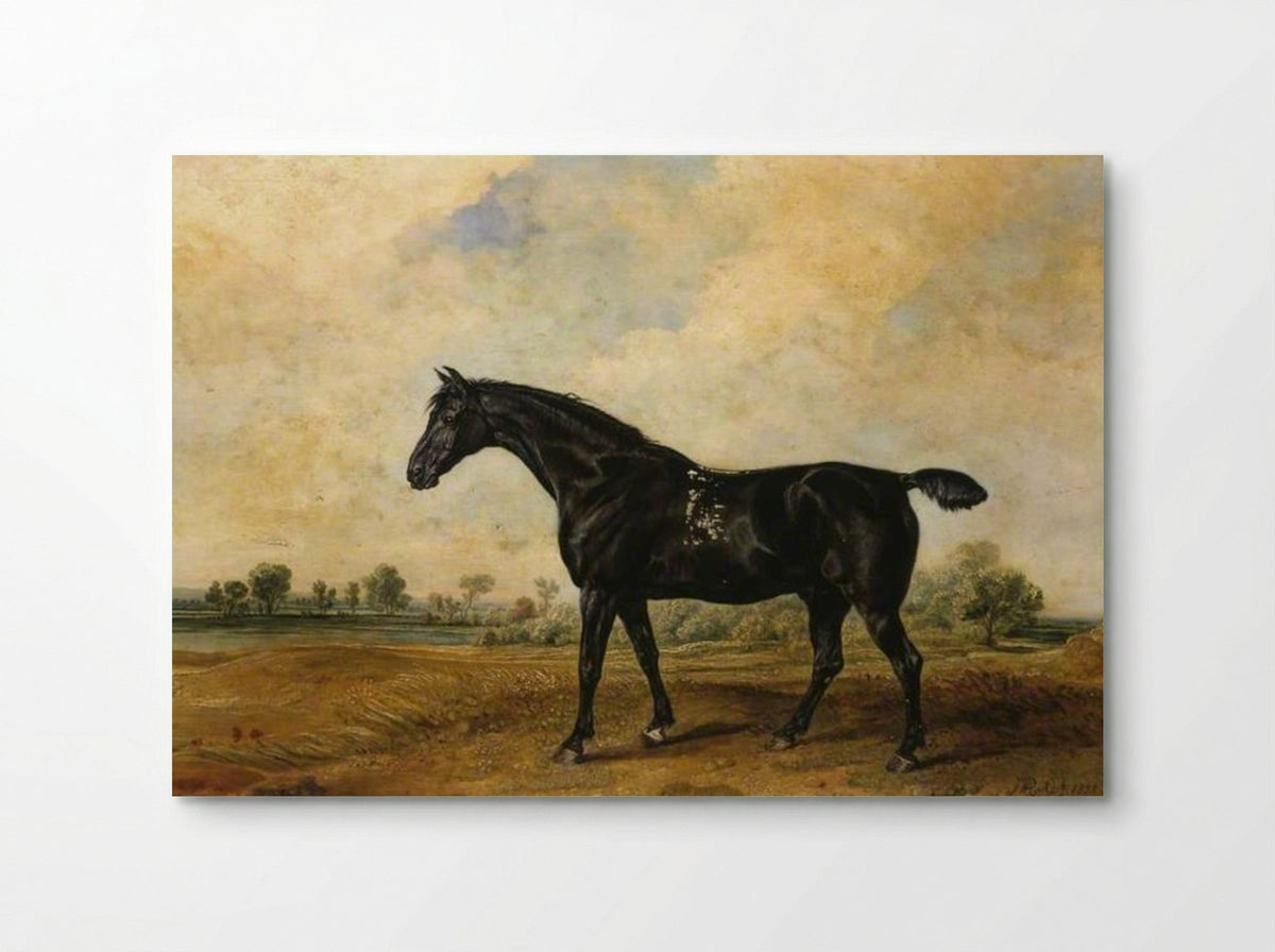 The Black Horse - James Ward - Poster