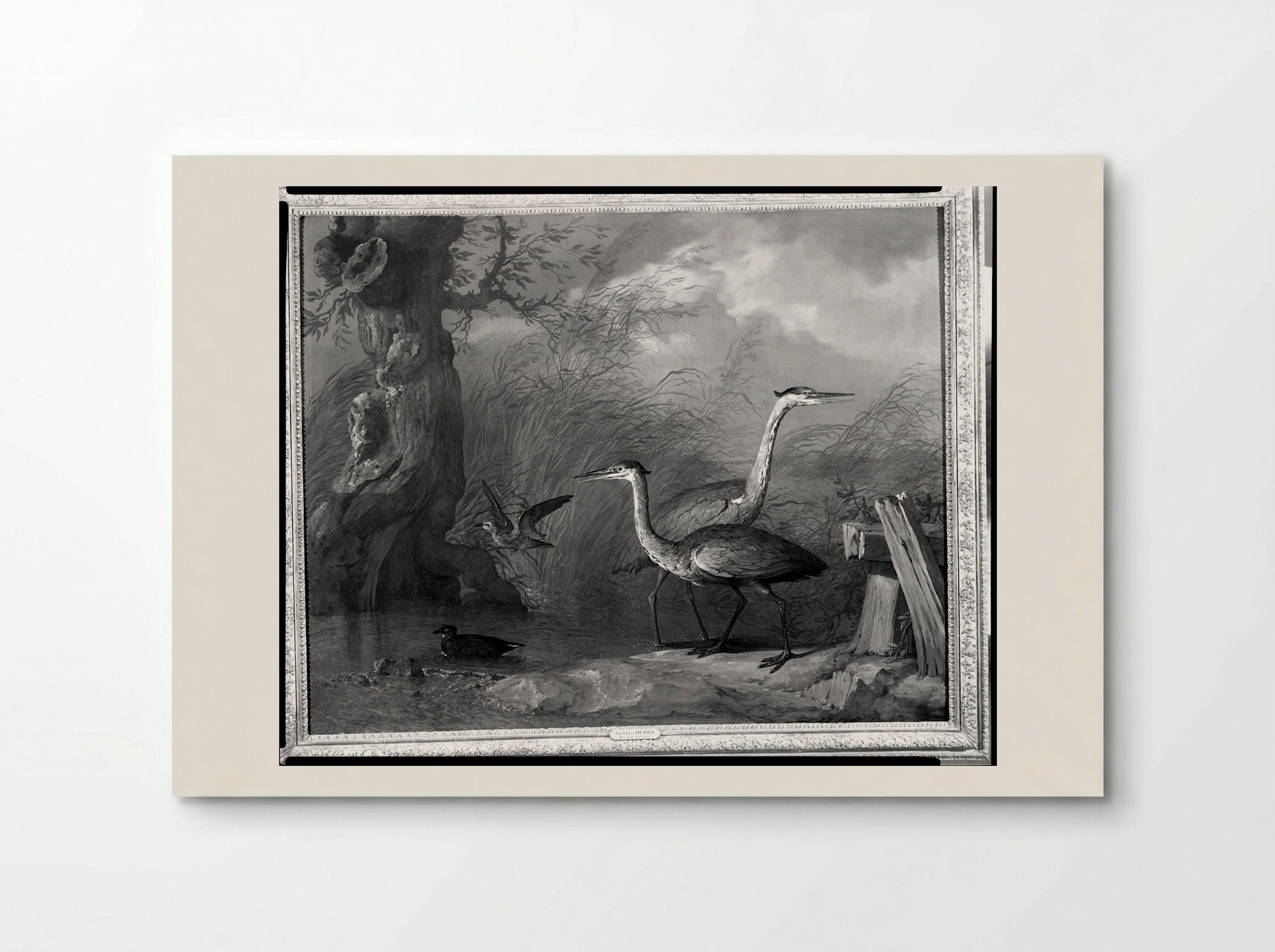 The Blue Herons - Jean-Baptiste Oudry - Poster