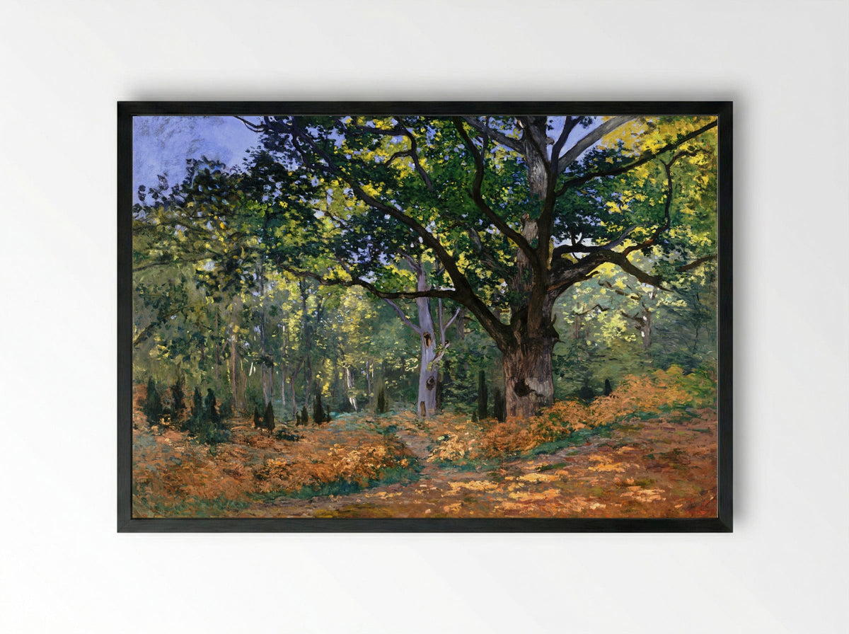 The Bodmer Oak, Fontainebleau - Claude Monet - Framed Print Black