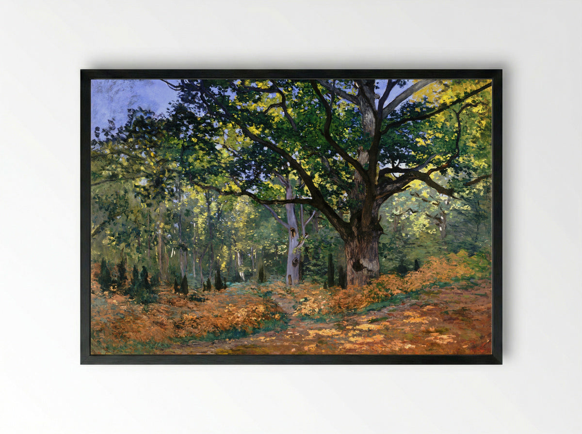 The Bodmer Oak, Fontainebleau - Claude Monet - Framed Print Black