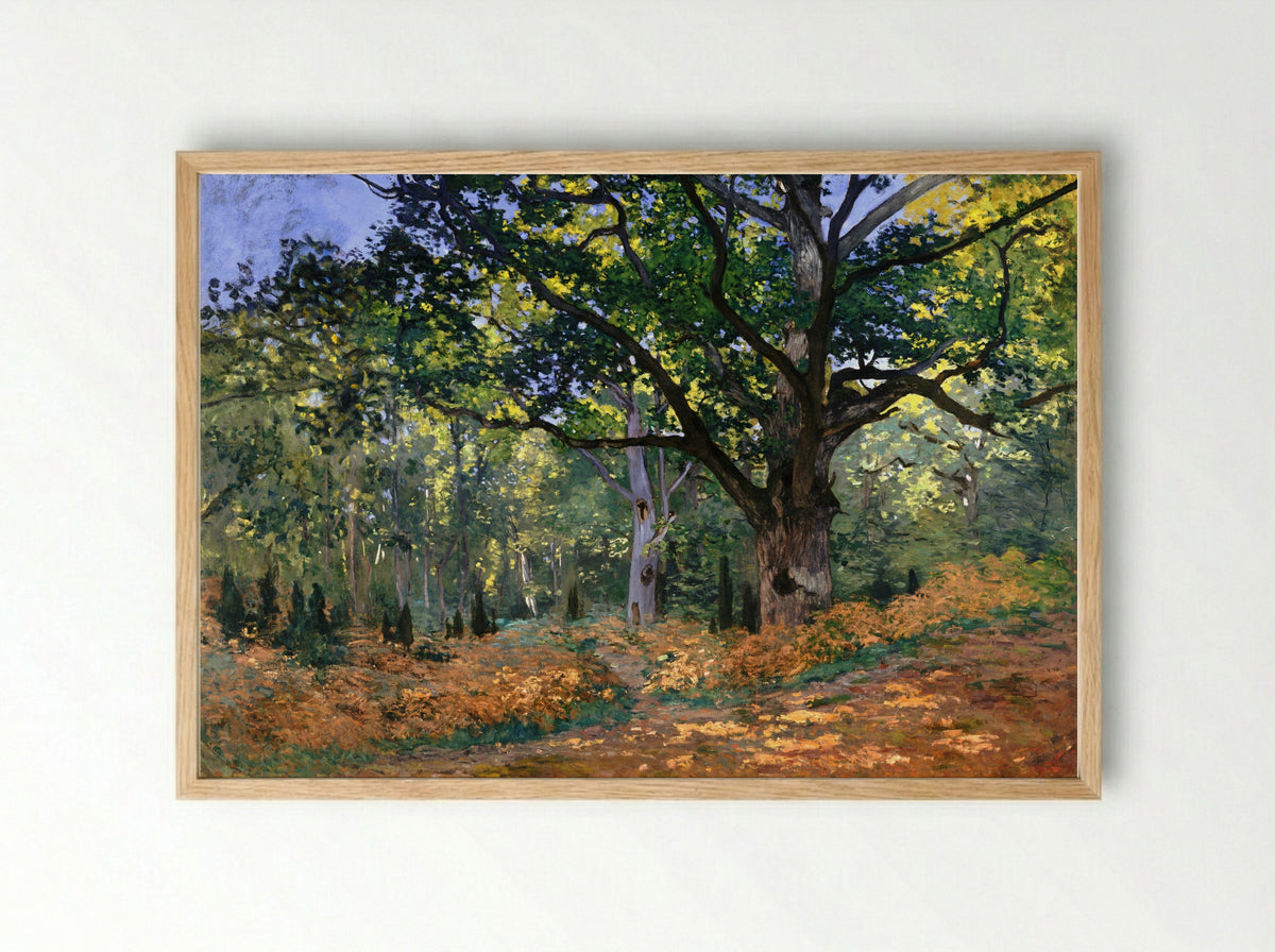 The Bodmer Oak, Fontainebleau - Claude Monet - Framed Print Wood