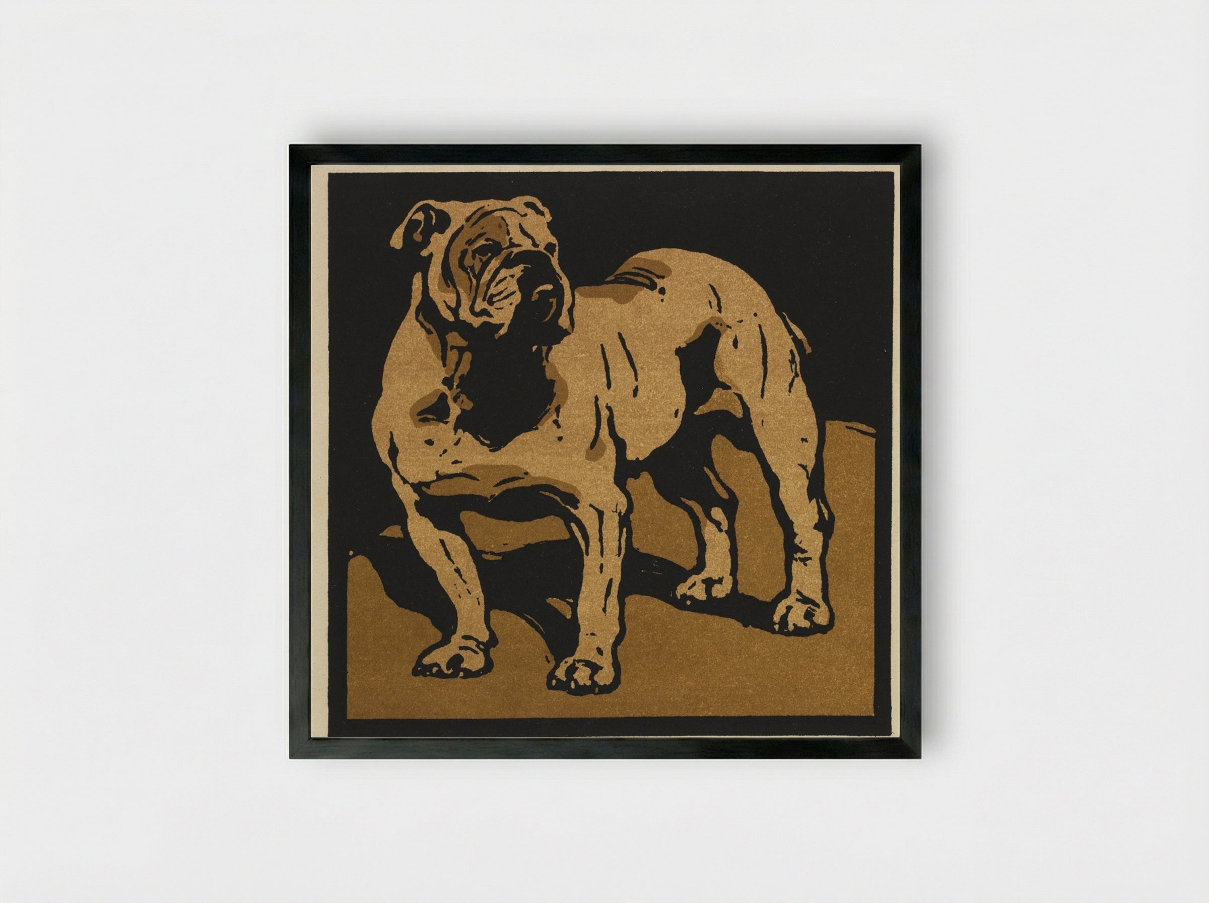 The British Bull-Dog - William Nicholson - Framed Print Black