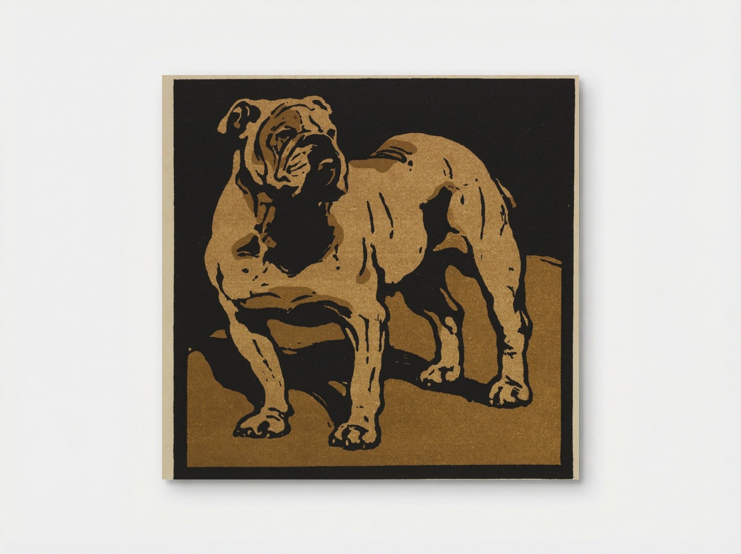 The British Bull-Dog - William Nicholson - Poster