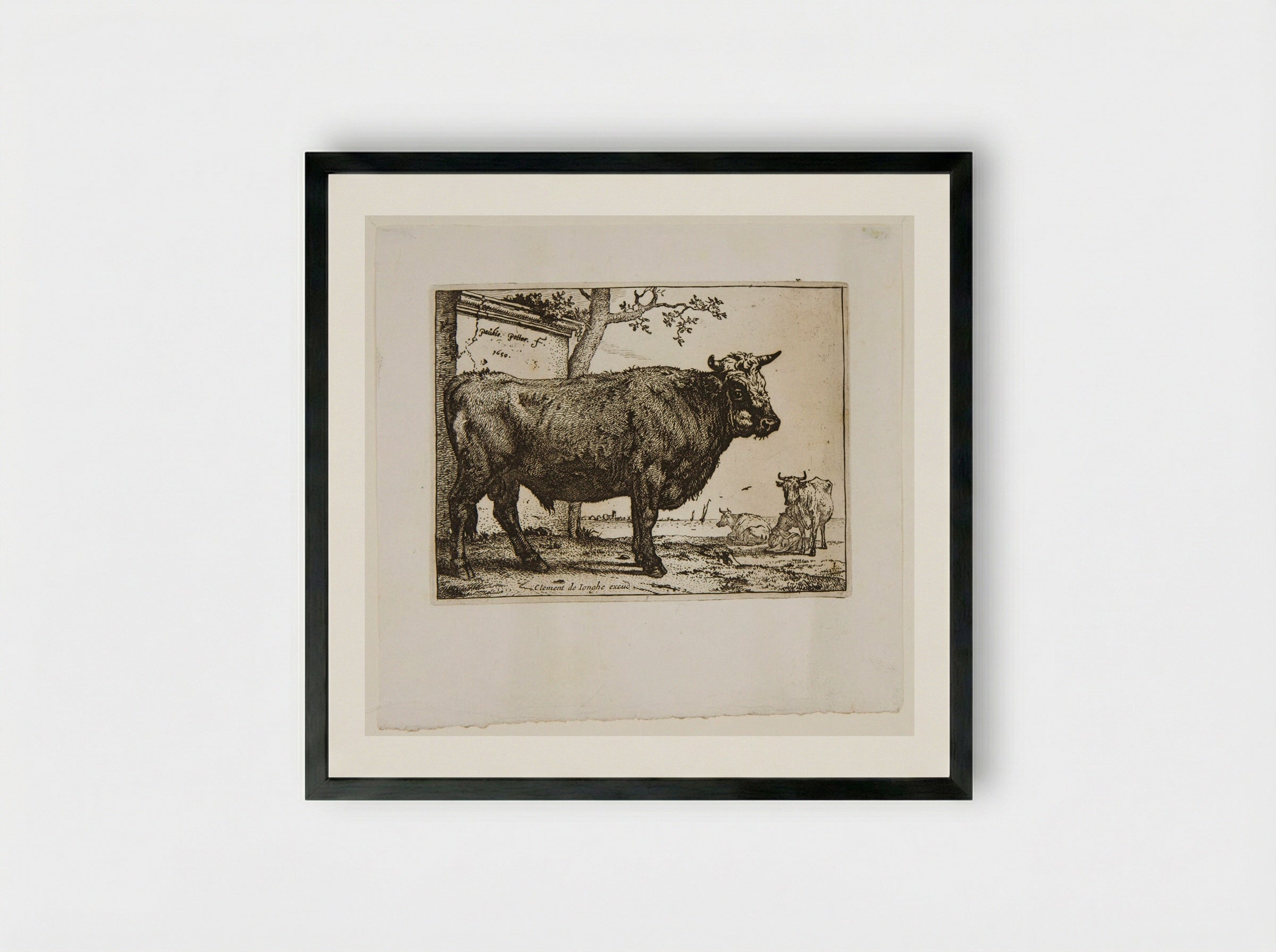 The Bull (Etching) - Paulus Potter - Framed Print Black