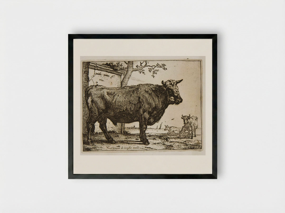 The Bull (Etching) - Paulus Potter - Framed Print Black