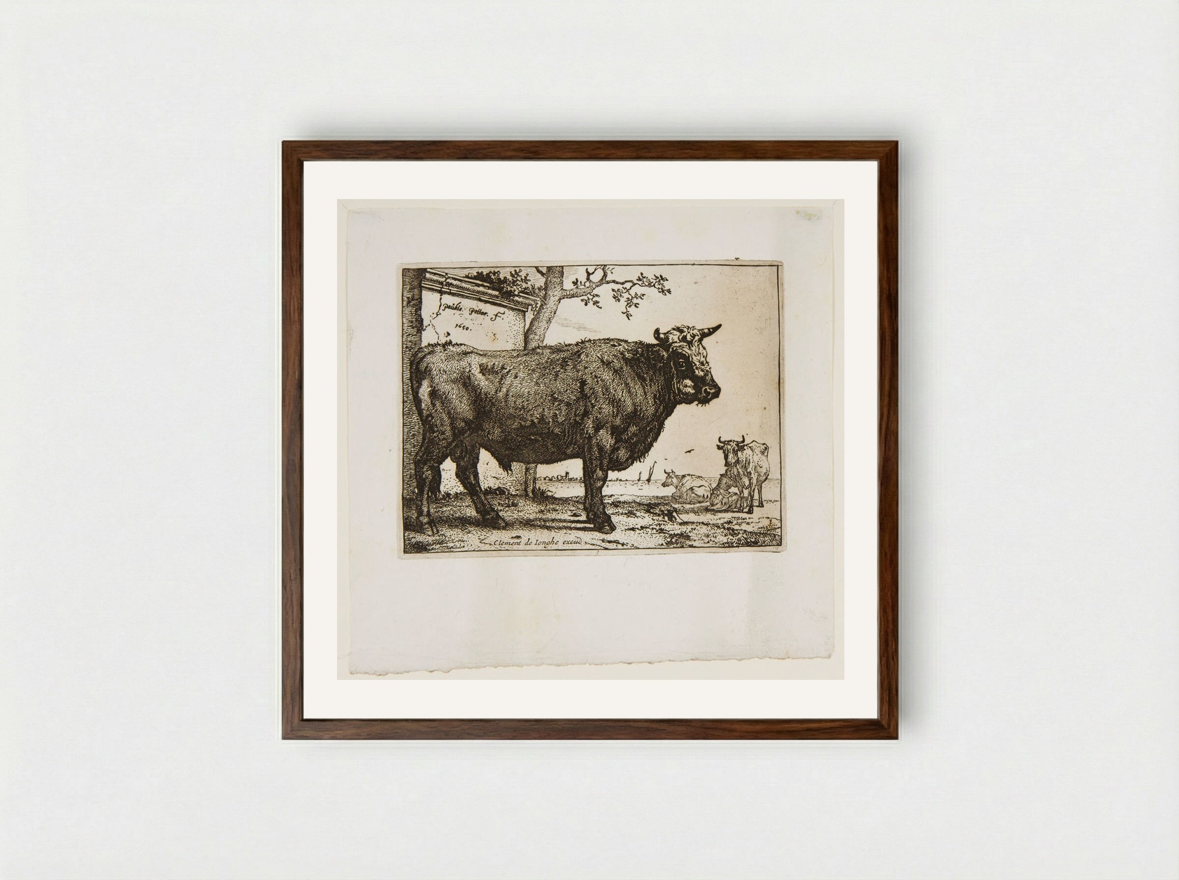 The Bull (Etching) - Paulus Potter - Framed Print Dark Wood