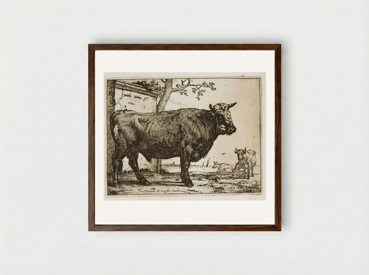The Bull (Etching) - Paulus Potter - Framed Print Dark Wood