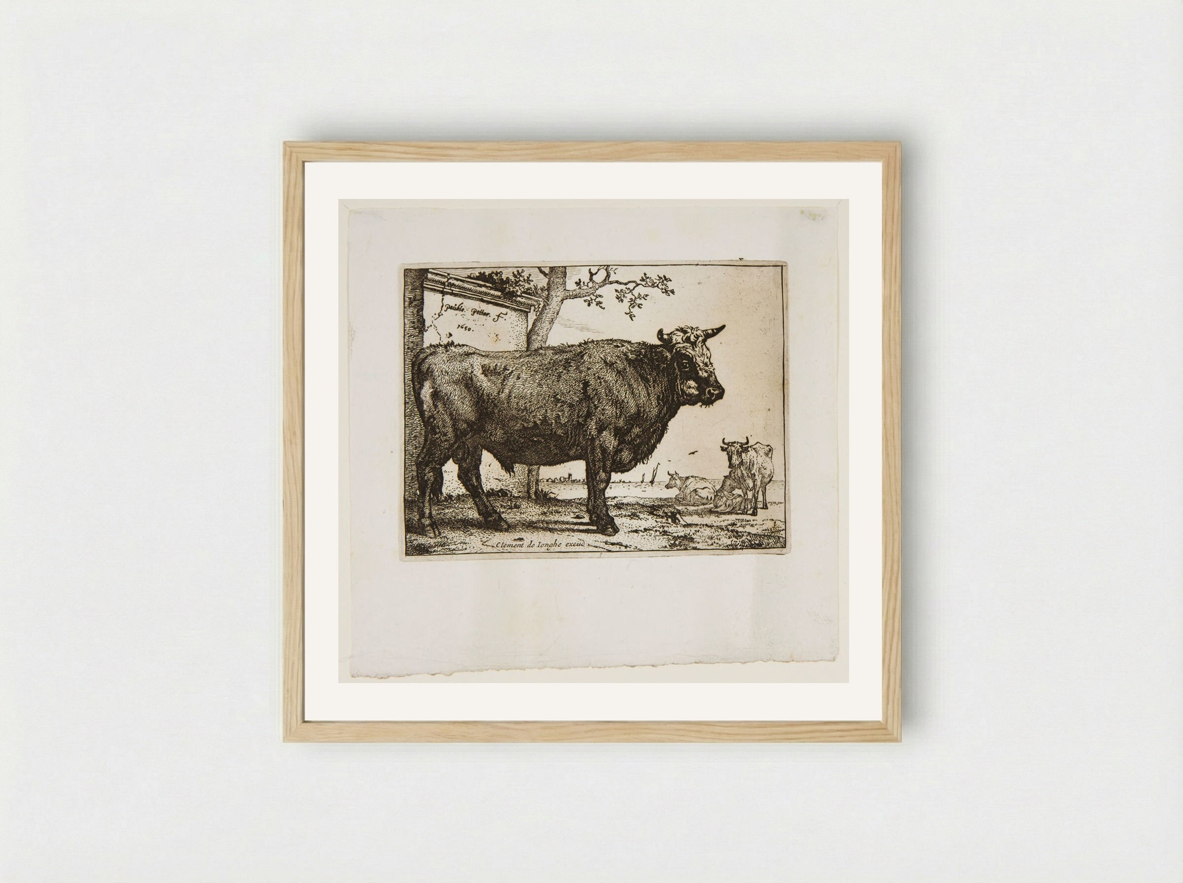 The Bull (Etching) - Paulus Potter - Framed Print Wood