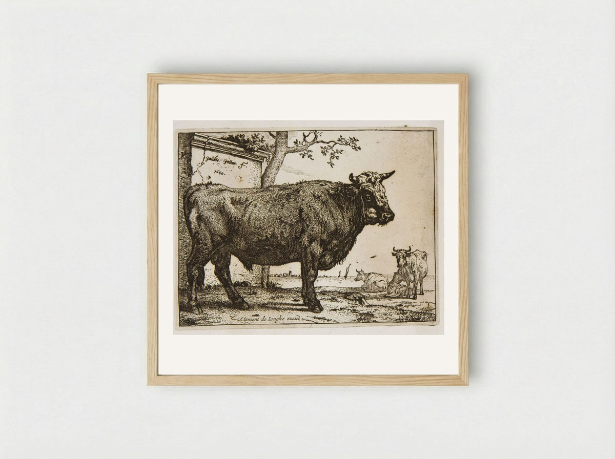 The Bull (Etching) - Paulus Potter - Framed Print Wood
