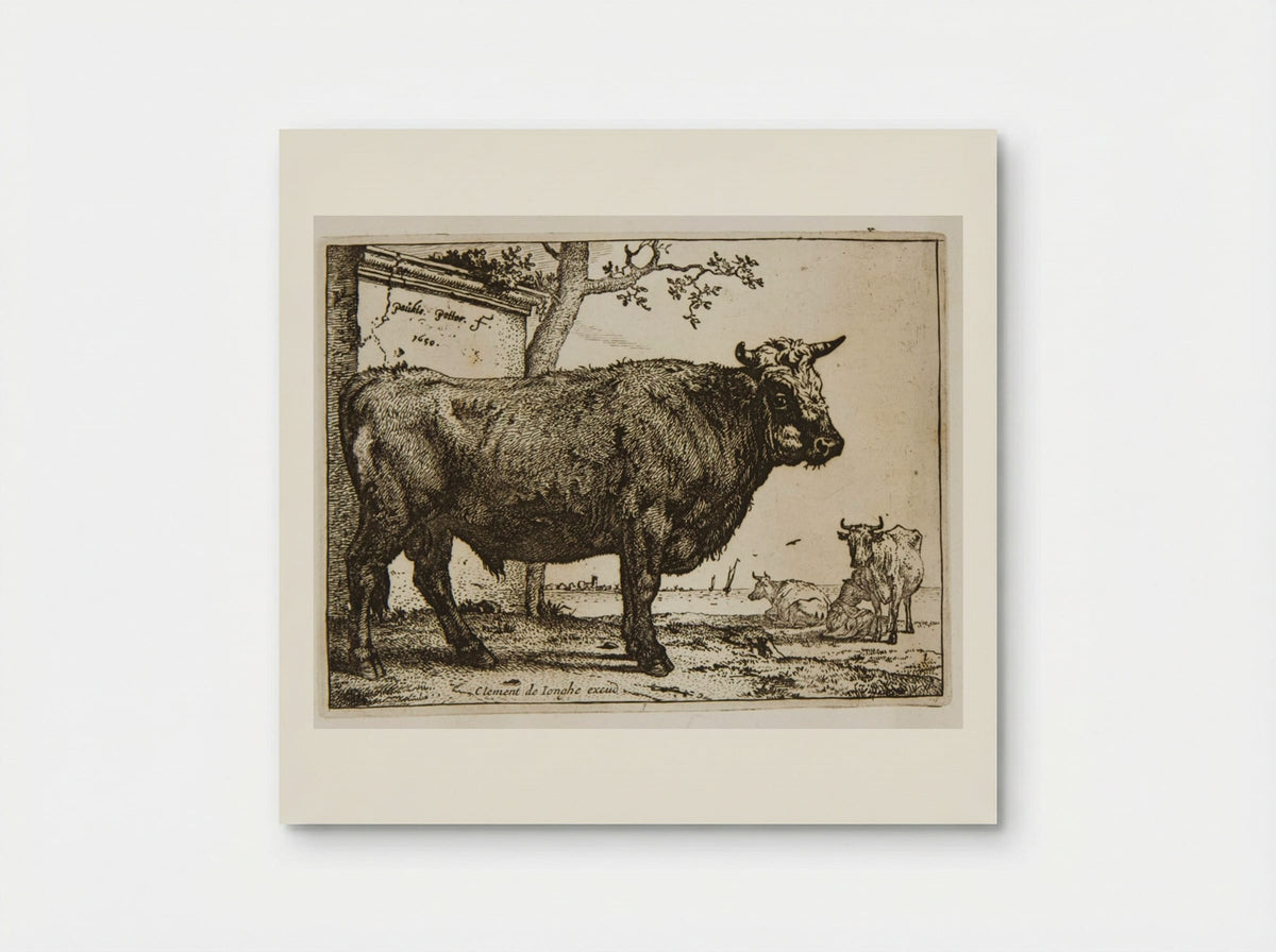 The Bull (Etching) - Paulus Potter - Poster