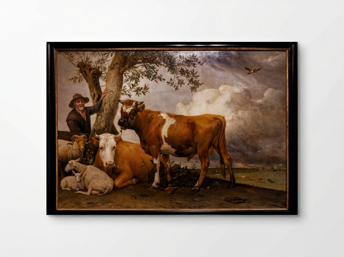 The Bull - Paulus Potter - Poster