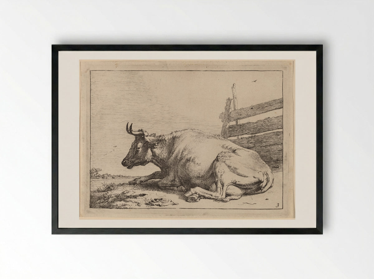 The Cow Lying Down Near a Fence - Paulus Potter - Framed Print Black