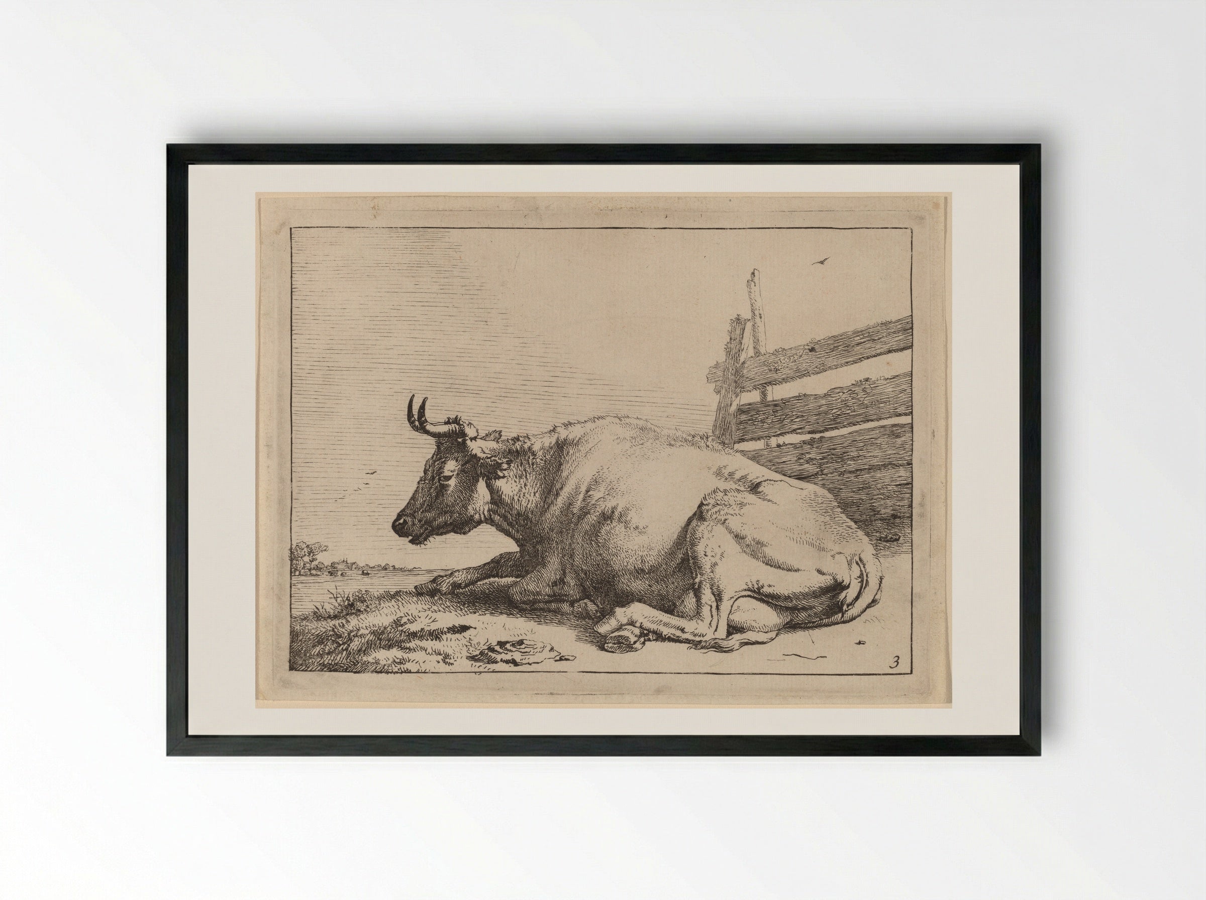 The Cow Lying Down Near a Fence - Paulus Potter - Framed Print Black