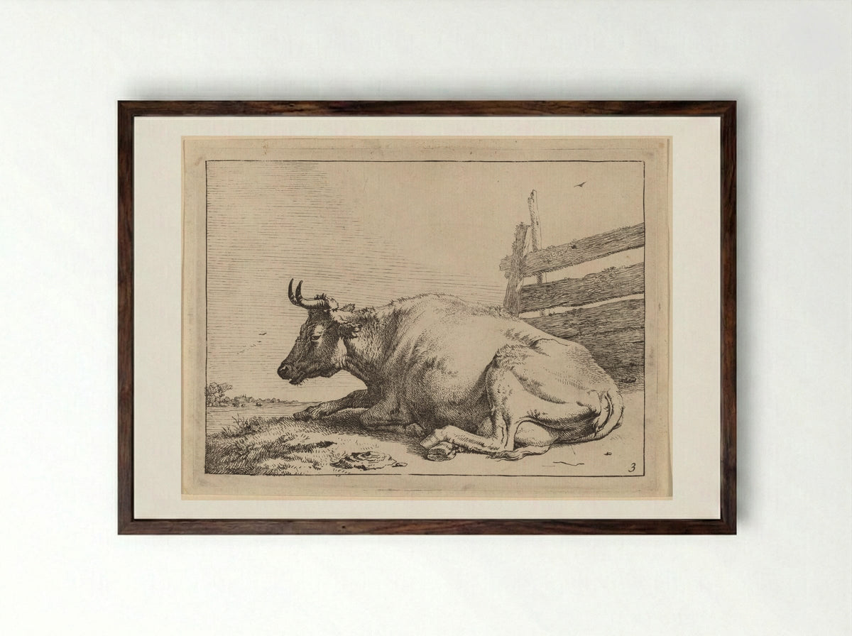 The Cow Lying Down Near a Fence - Paulus Potter - Framed Print Dark Wood
