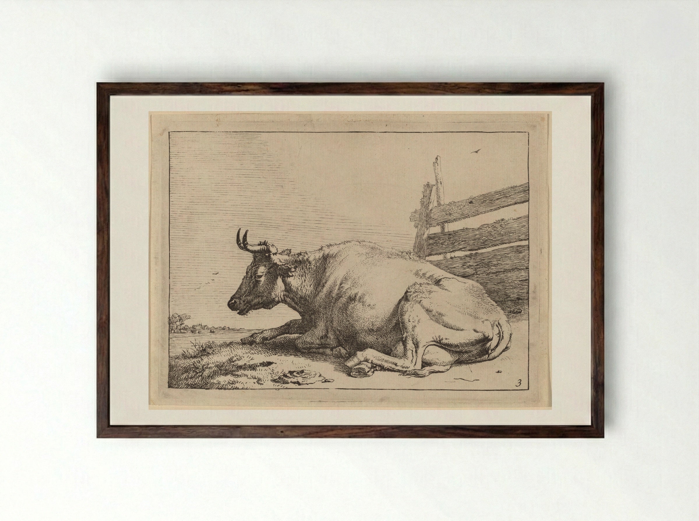 The Cow Lying Down Near a Fence - Paulus Potter - Framed Print Dark Wood