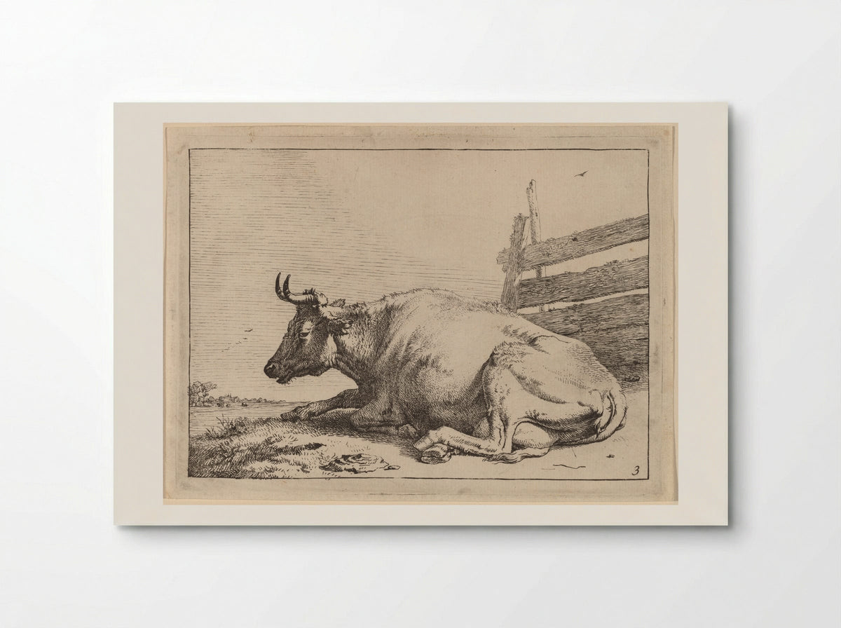 The Cow Lying Down Near a Fence - Paulus Potter - Poster