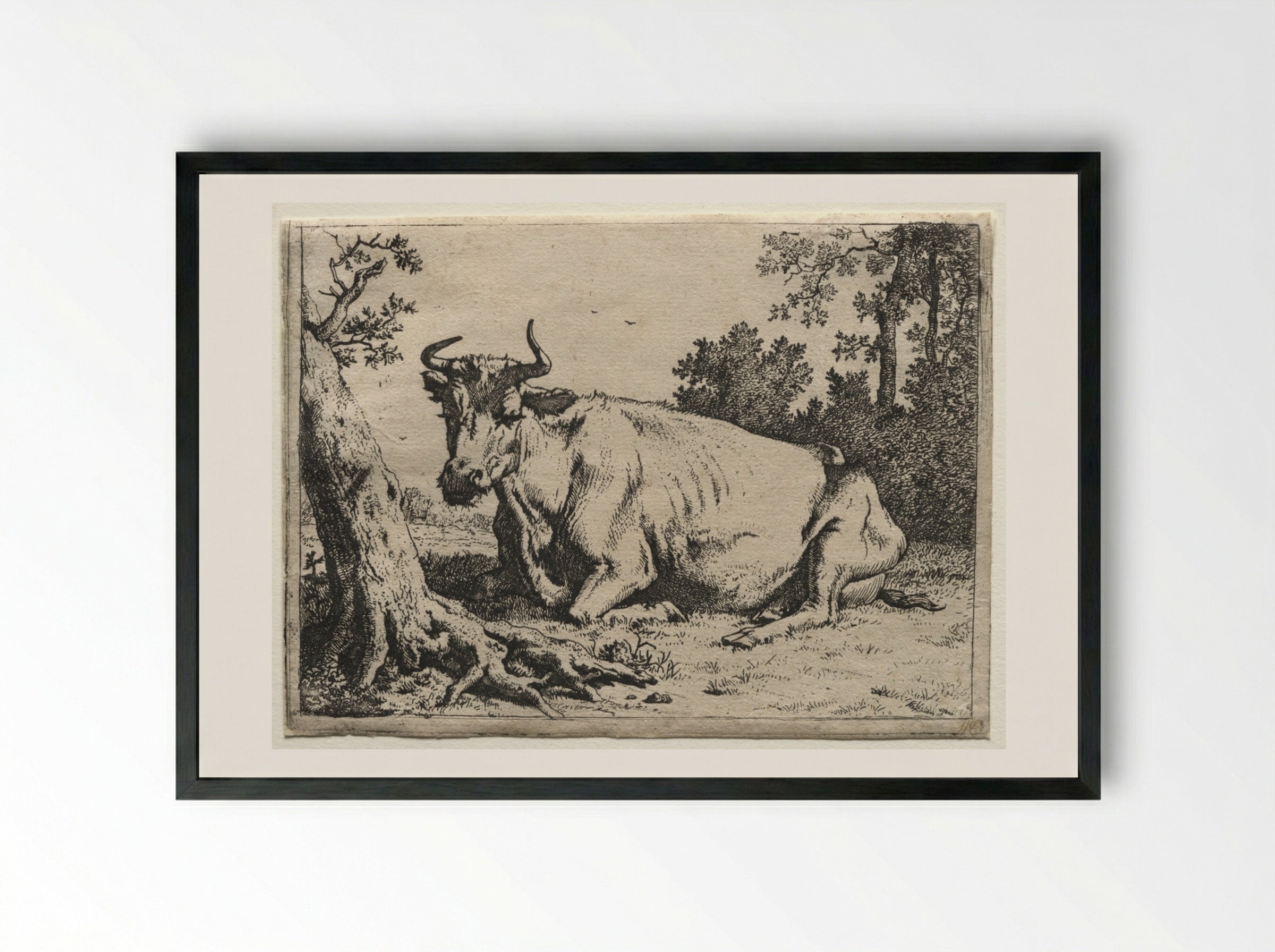 The Cow Lying Down Near a Tree - Paulus Potter - Framed Print Black