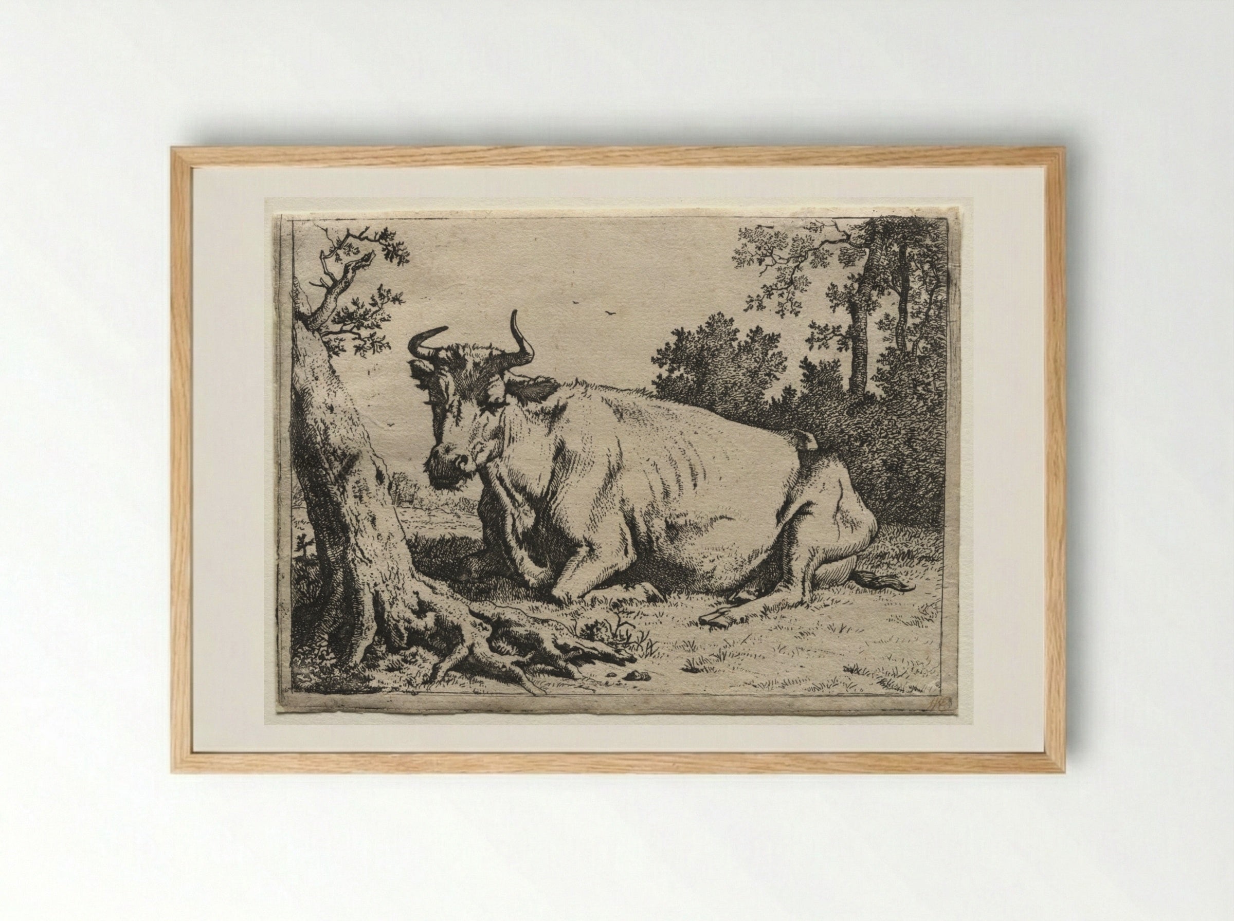 The Cow Lying Down Near a Tree - Paulus Potter - Framed Print Wood