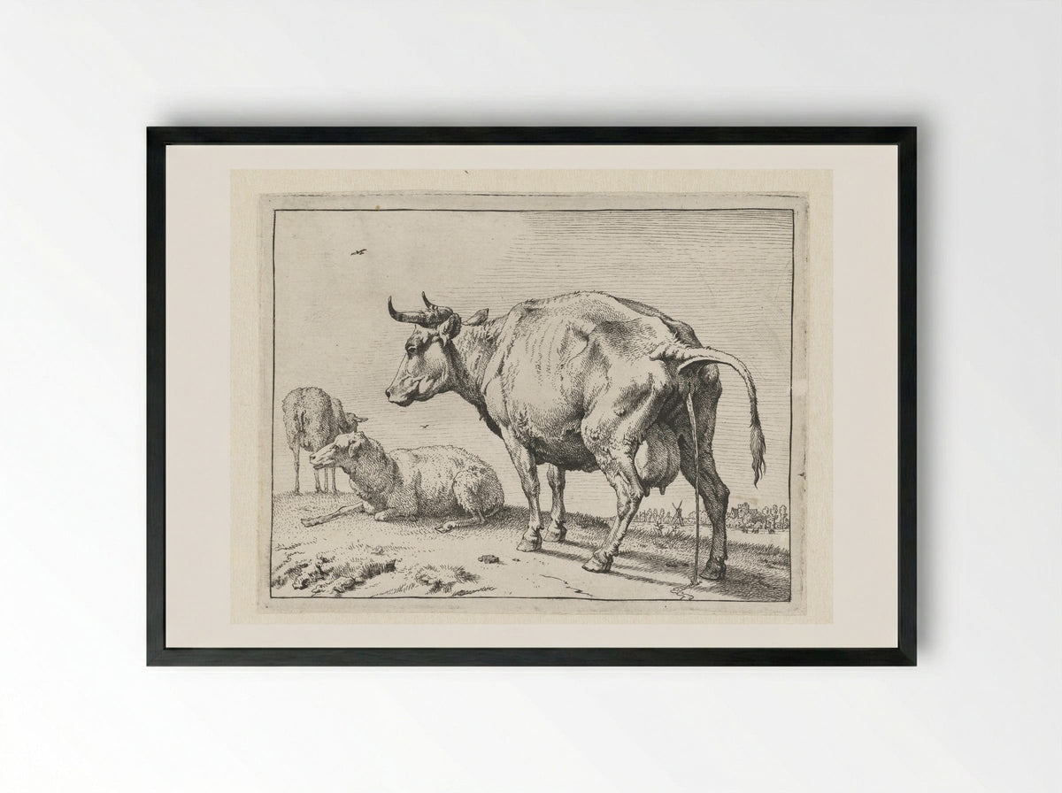 The Cow Urinating - Paulus Potter - Framed Print Black