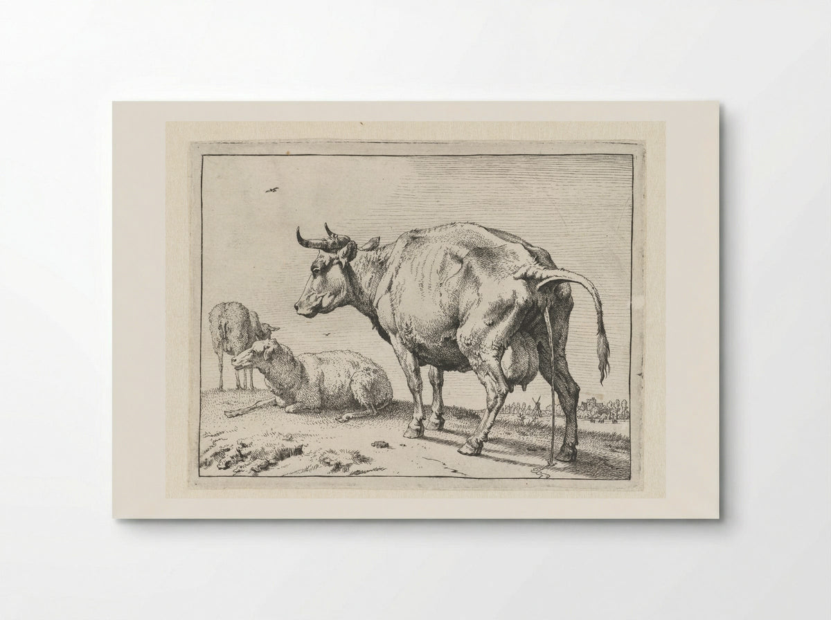 The Cow Urinating - Paulus Potter - Poster