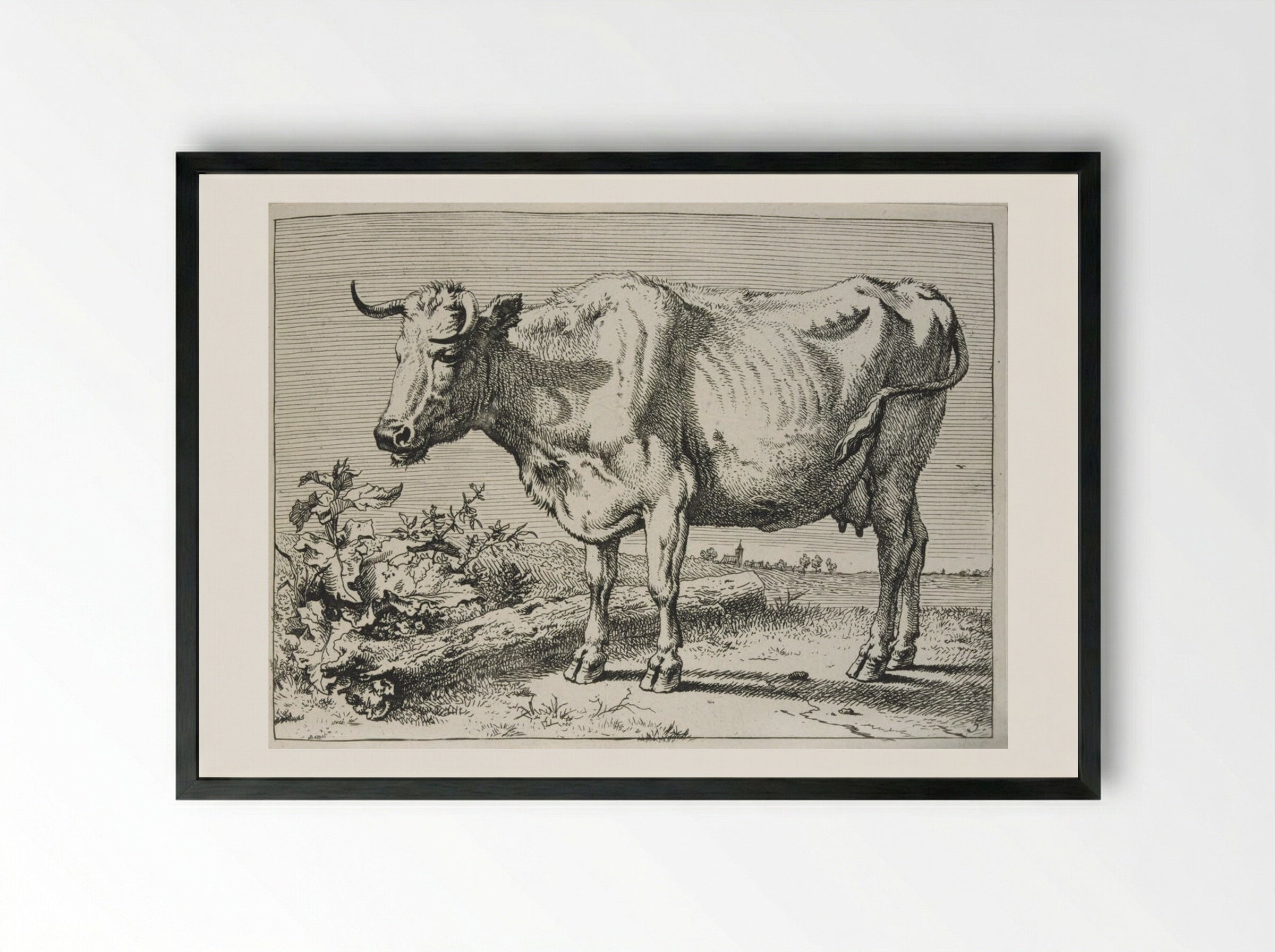 The Cow with the Crumpled Horn - Paulus Potter - Framed Print Black