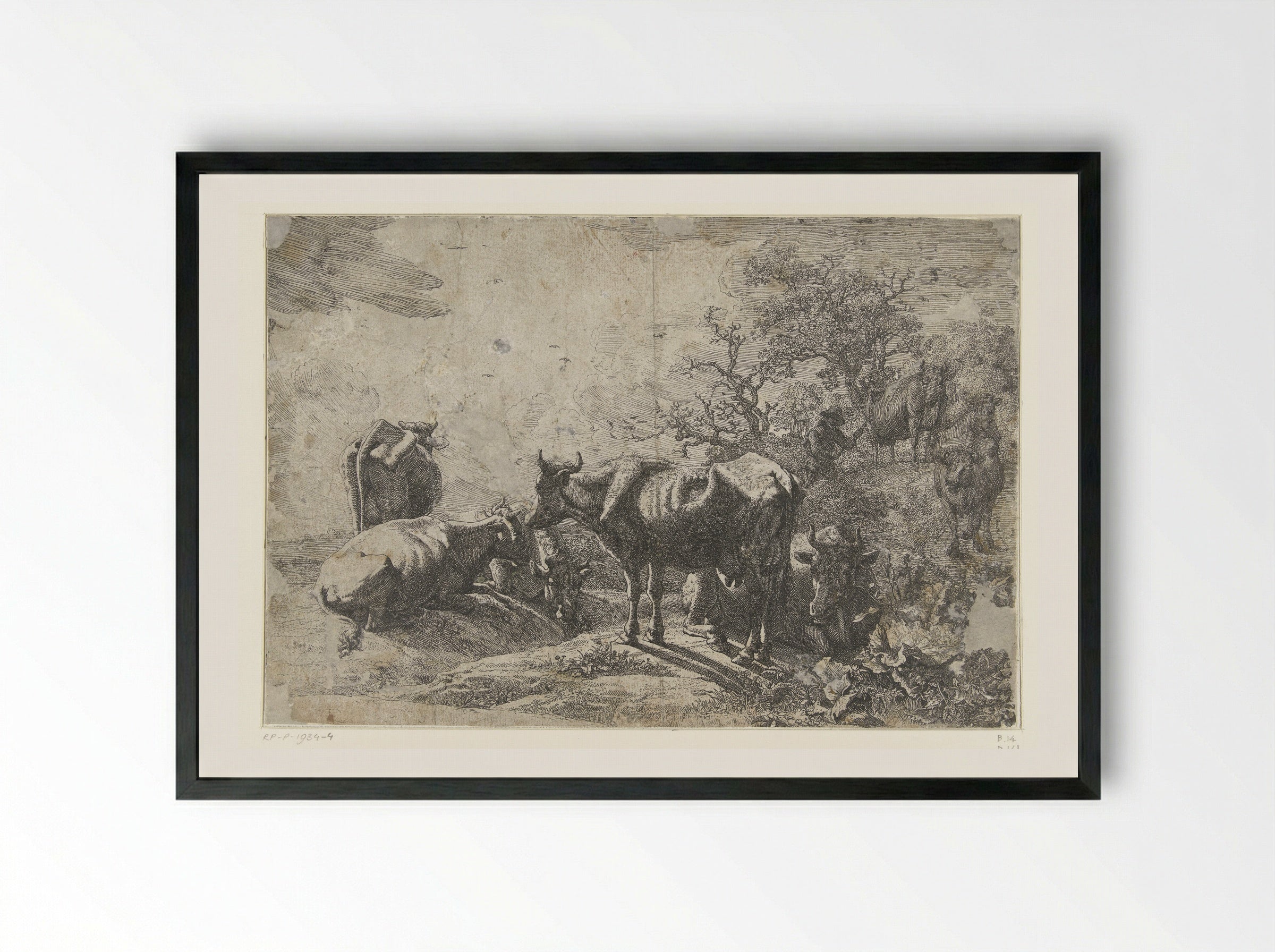 The Cowherd - Paulus Potter - Framed Print Black