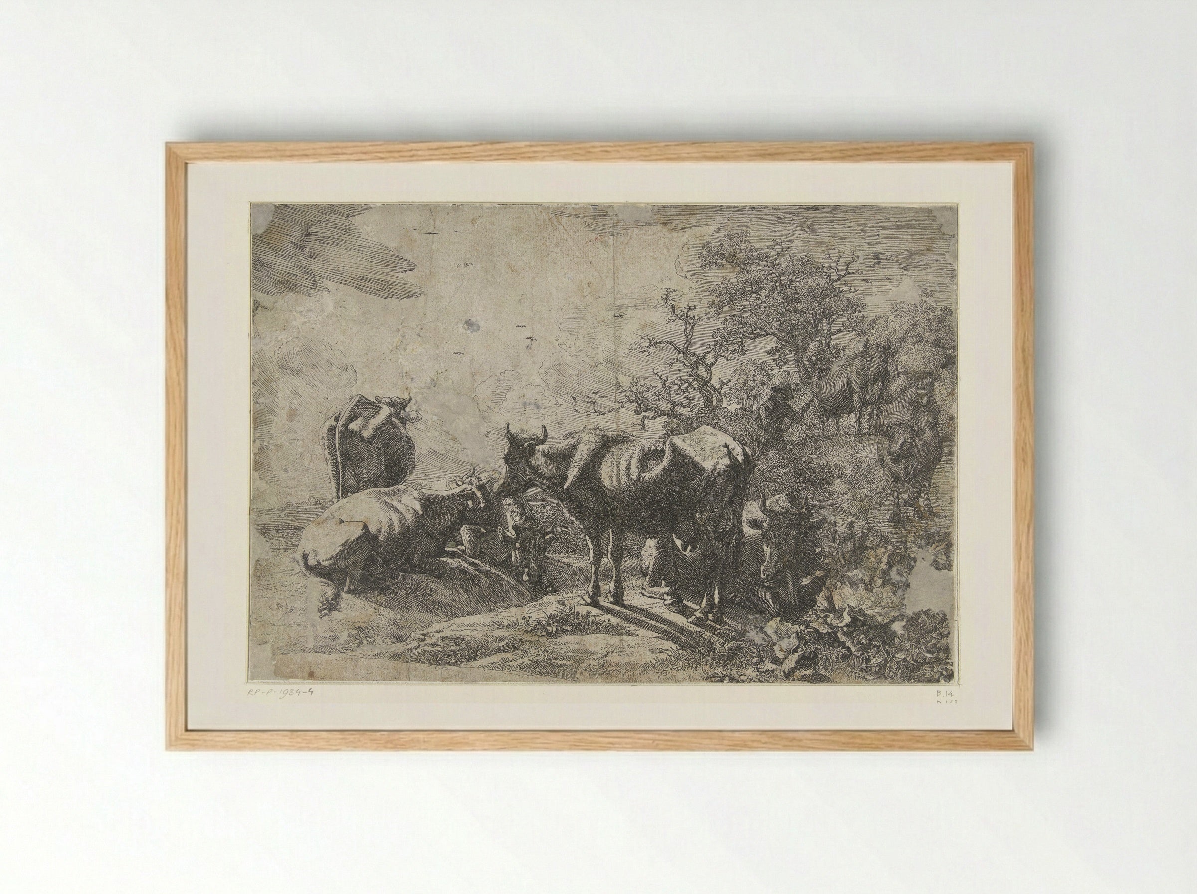 The Cowherd - Paulus Potter - Framed Print Wood