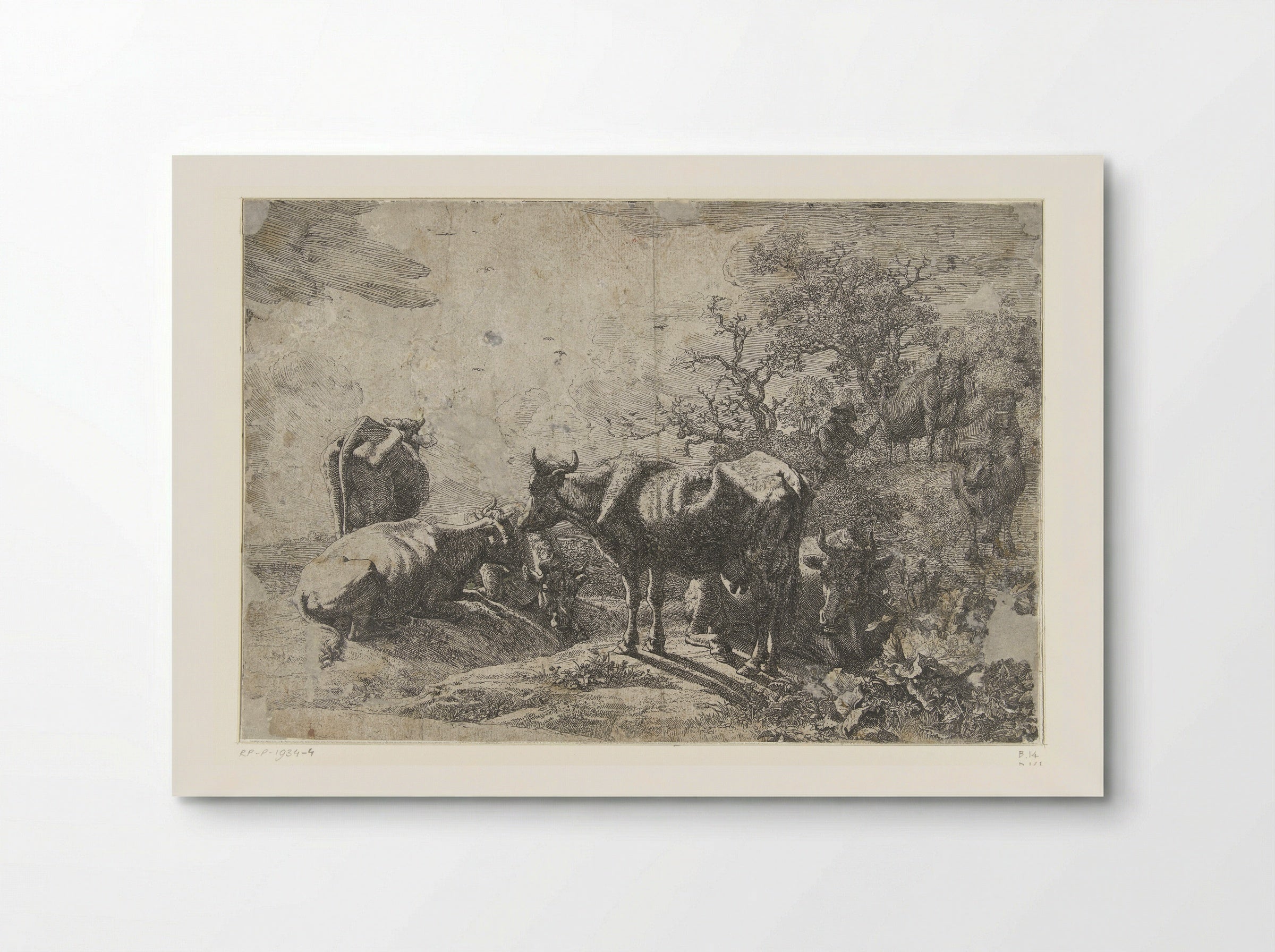 The Cowherd - Paulus Potter - Poster