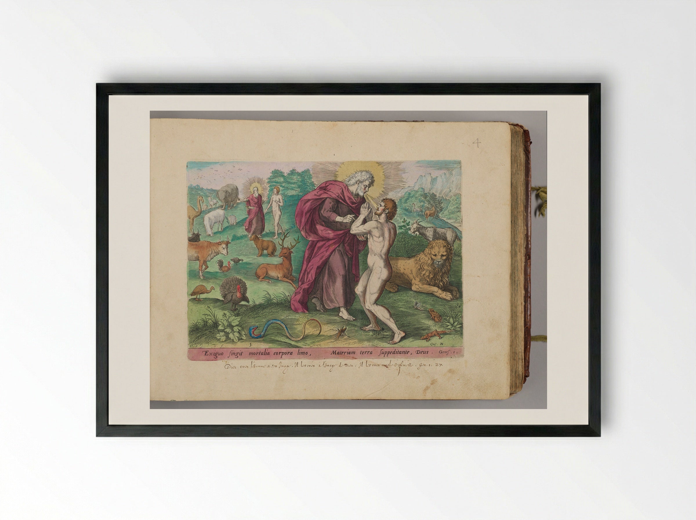 The Creation of Adam - Johann Sadeler I - Framed Print Black