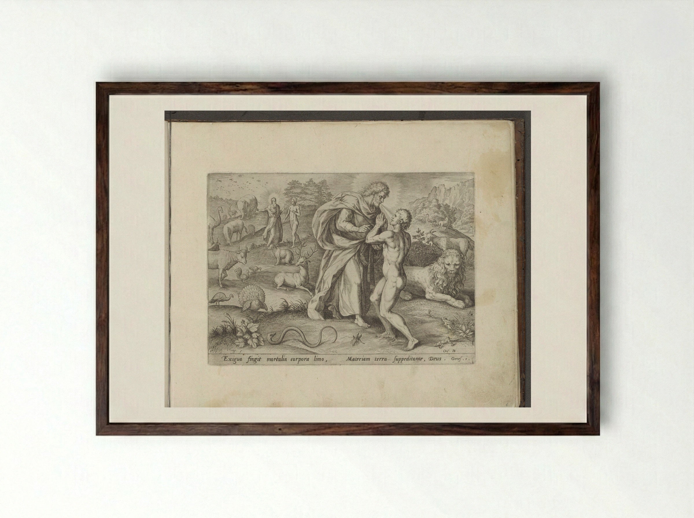 The Creation of Adam - Gerard de Jode - Framed Print Dark Wood