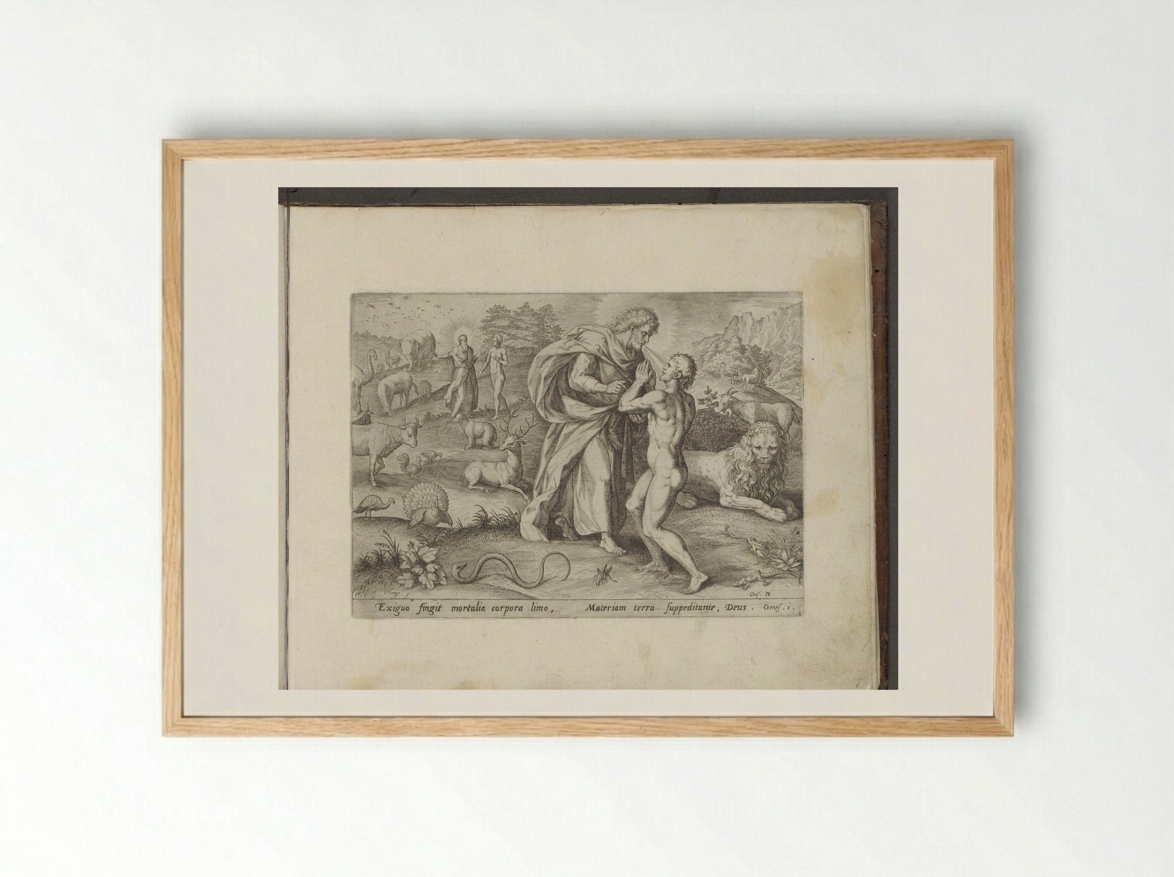 The Creation of Adam - Gerard de Jode - Framed Print Wood