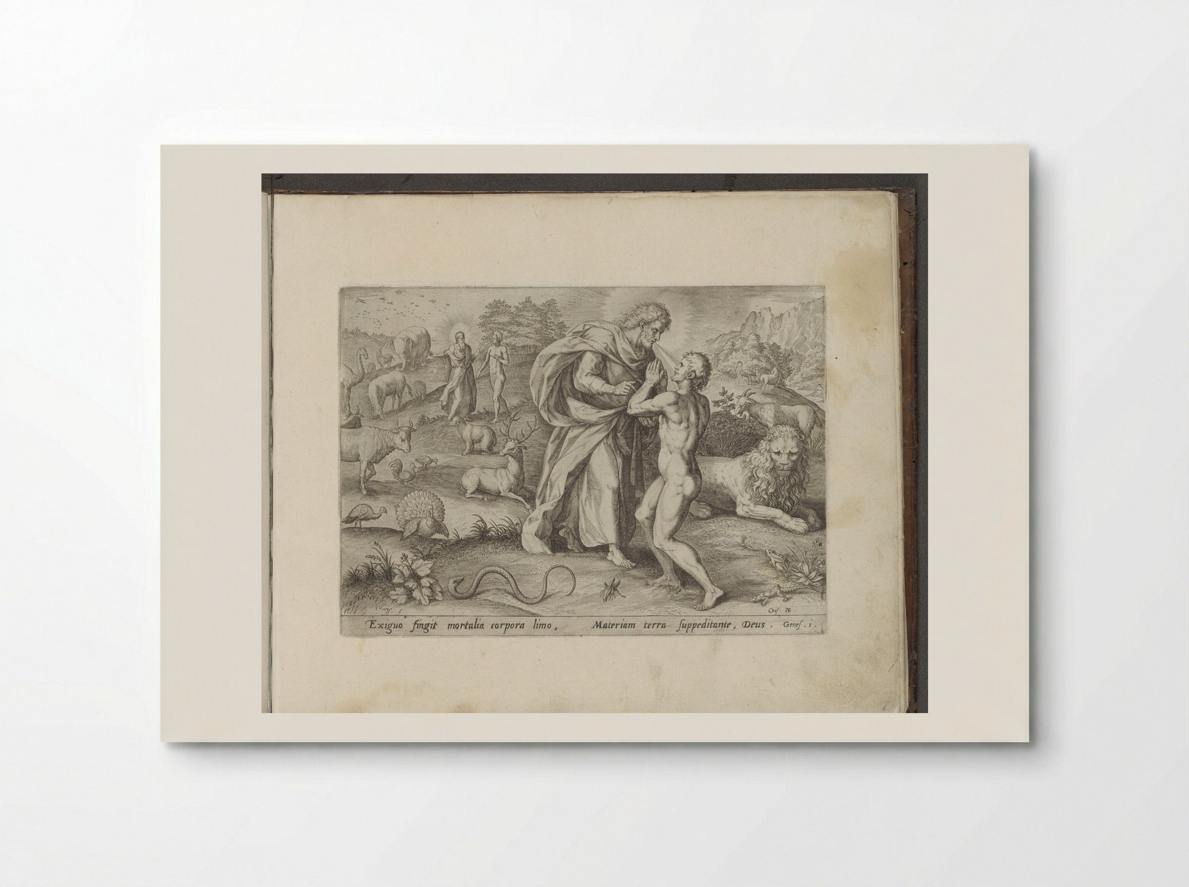 The Creation of Adam - Gerard de Jode - Poster
