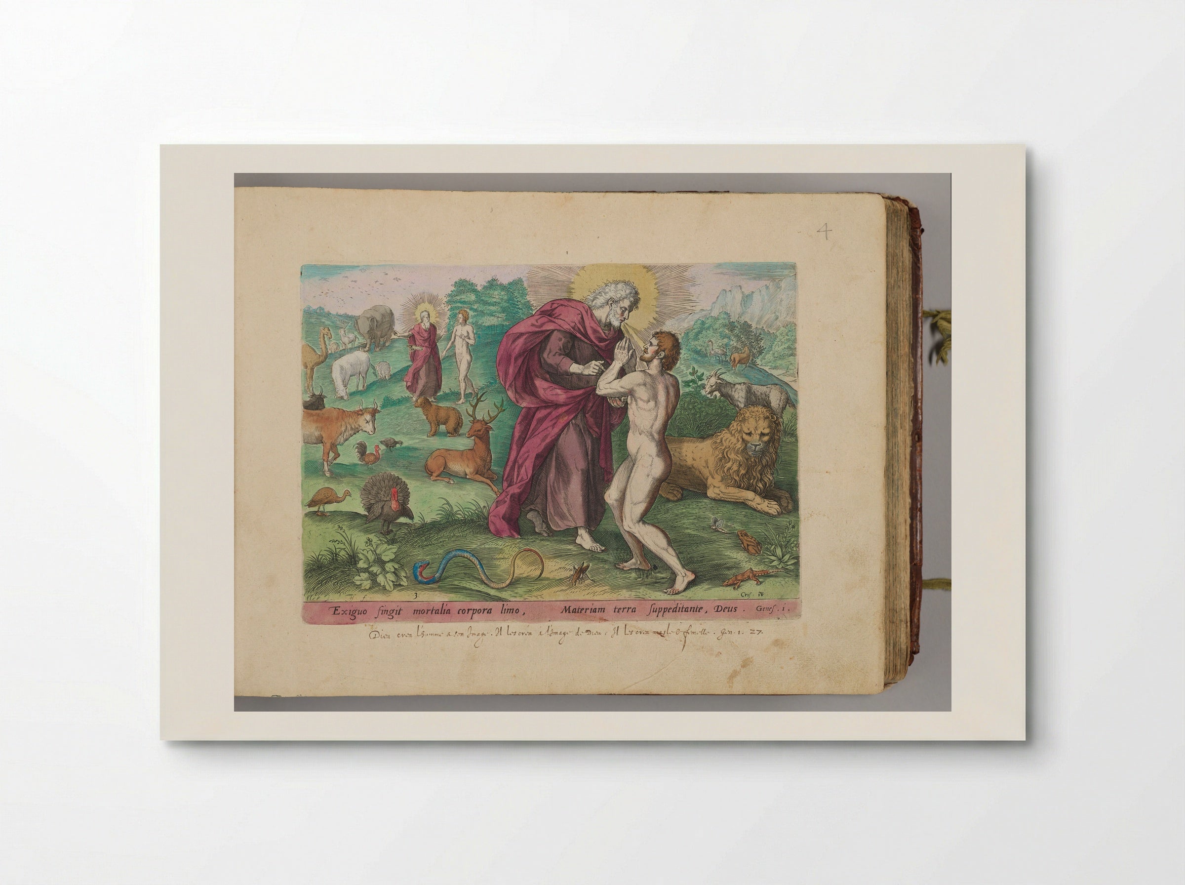 The Creation of Adam - Johann Sadeler I - Poster
