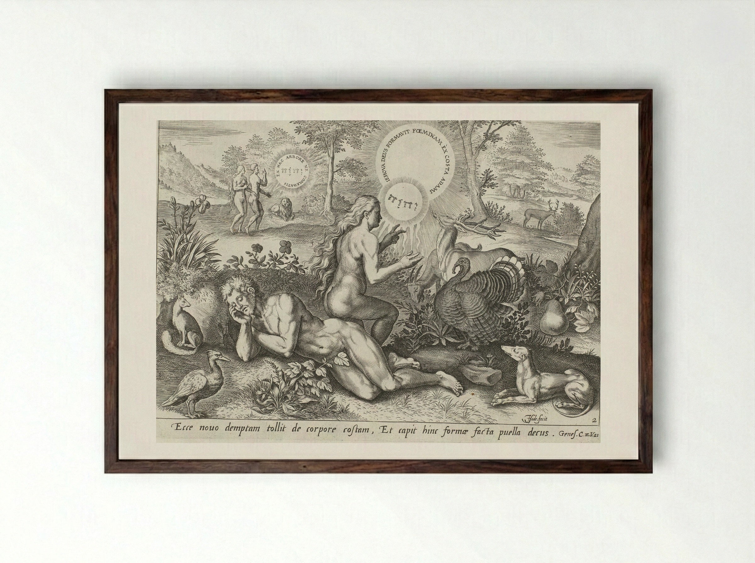 The Creation of Eve - Claes Jansz. Visscher (II) - Framed Print Dark Wood