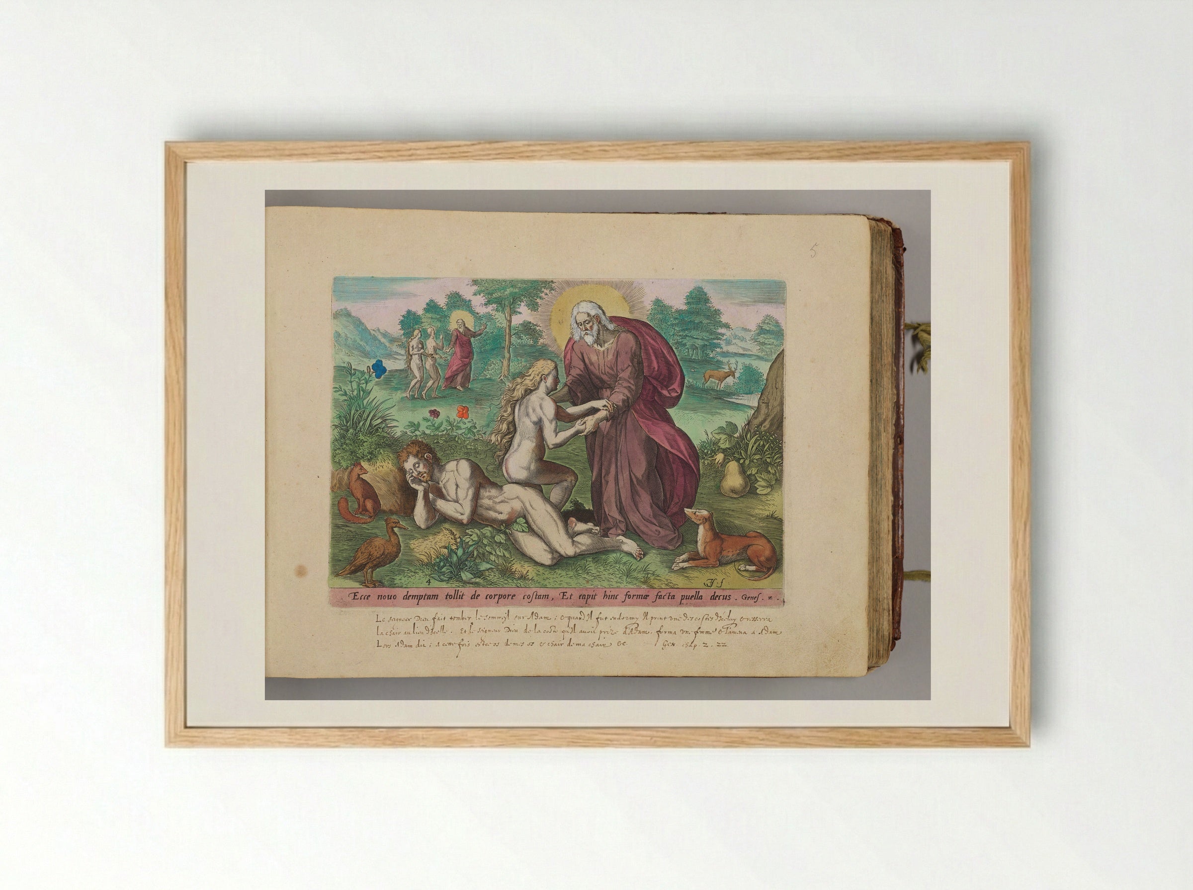 The Creation of Eve - Johann Sadeler I - Framed Print Wood