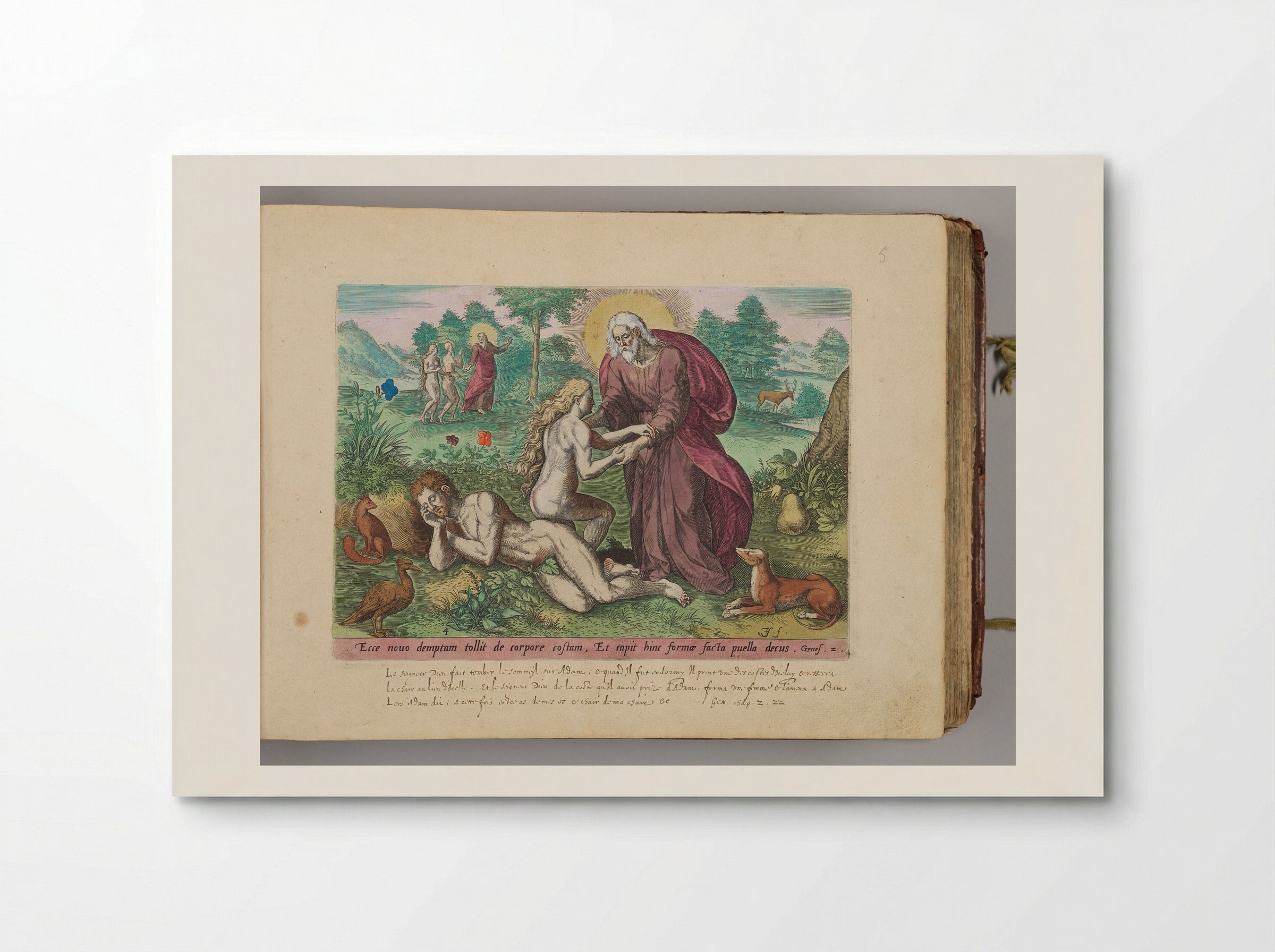 The Creation of Eve - Johann Sadeler I - Poster