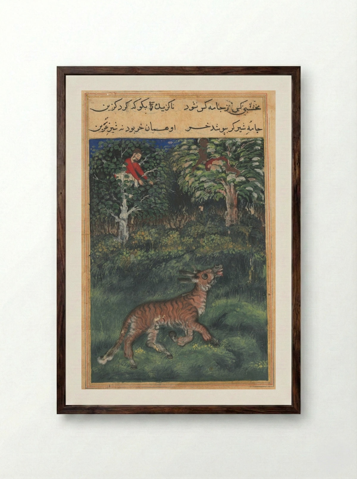 The Donkey in Tiger's Skin - Basavana - Framed Print Dark Wood