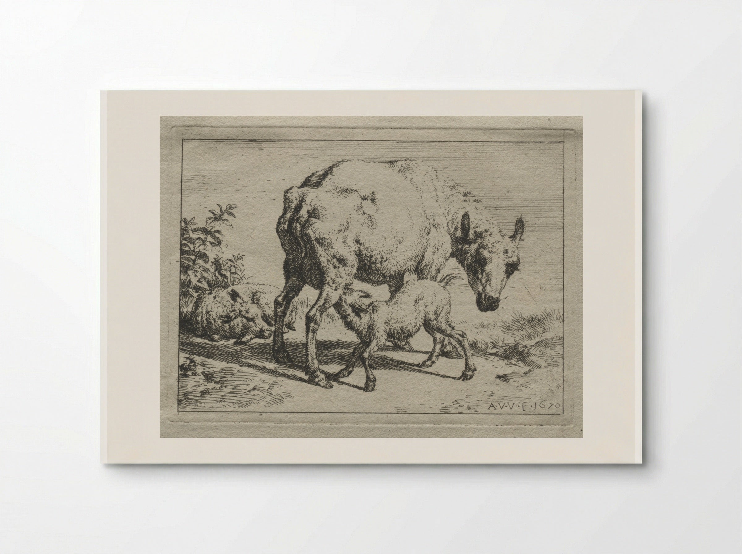 The Ewe and Two Lambs - Adriaen van de Velde - Poster