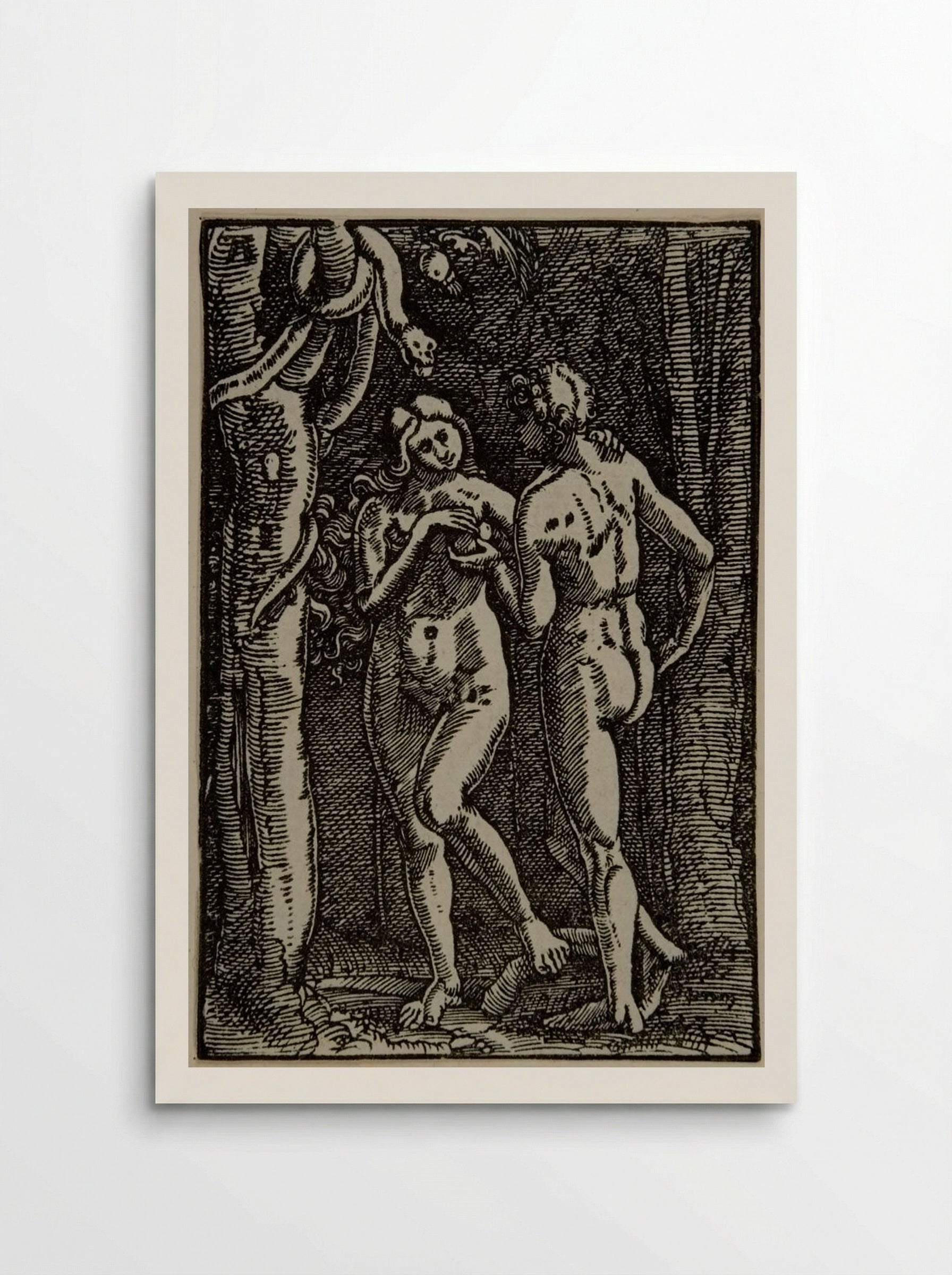 The Fall of Man - Albrecht Altdorfer - Poster