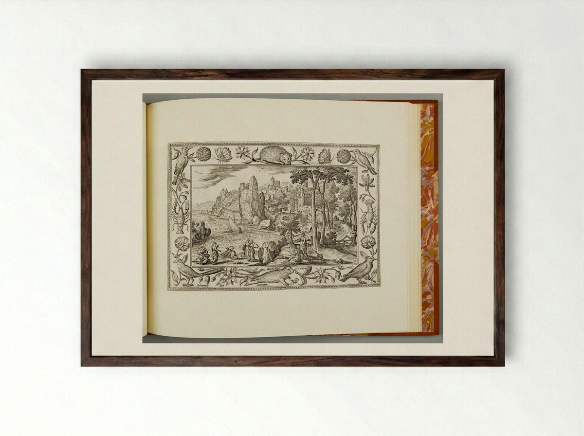 The Finding of Moses, with Hedgehog, Seal, Lobster, and Bird - Adriaen Collaert - Framed Print Dark Wood