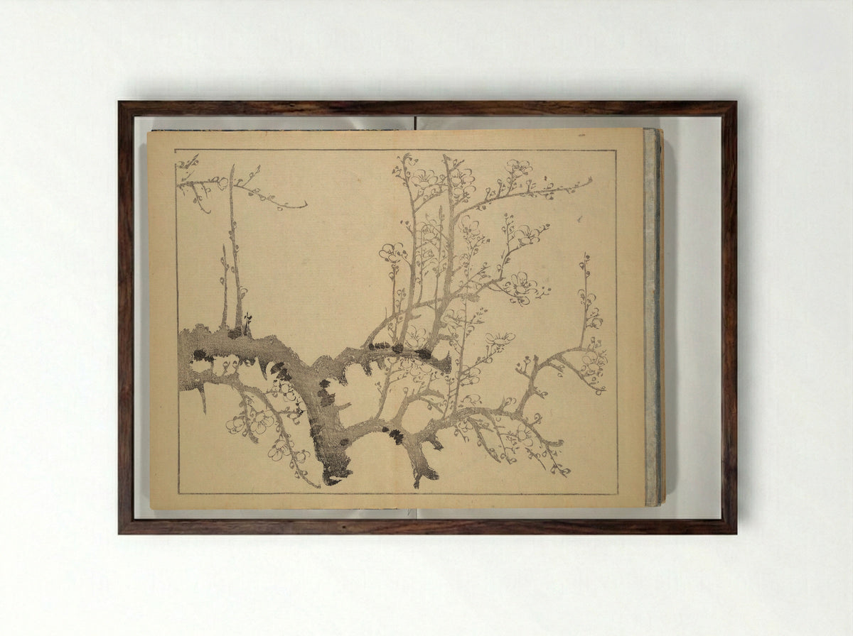 The Four Worthies (Plum, Bamboo, Orchid, Chrysanthemum) - Nakabayashi Chikutō - Framed Print Dark Wood