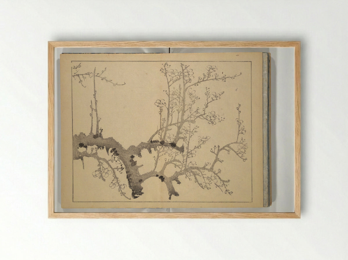 The Four Worthies (Plum, Bamboo, Orchid, Chrysanthemum) - Nakabayashi Chikutō - Framed Print Wood