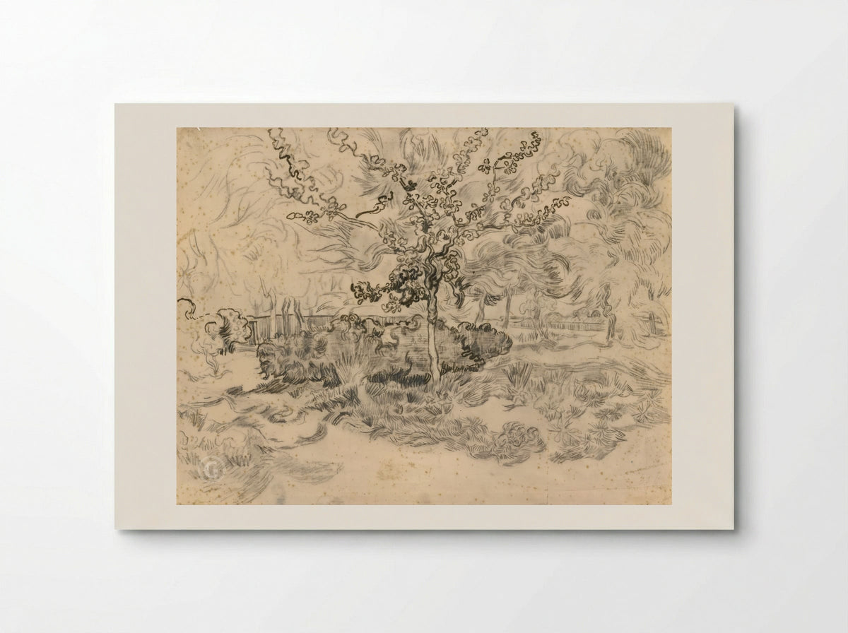 The Garden of the Asylum - Vincent van Gogh - Poster