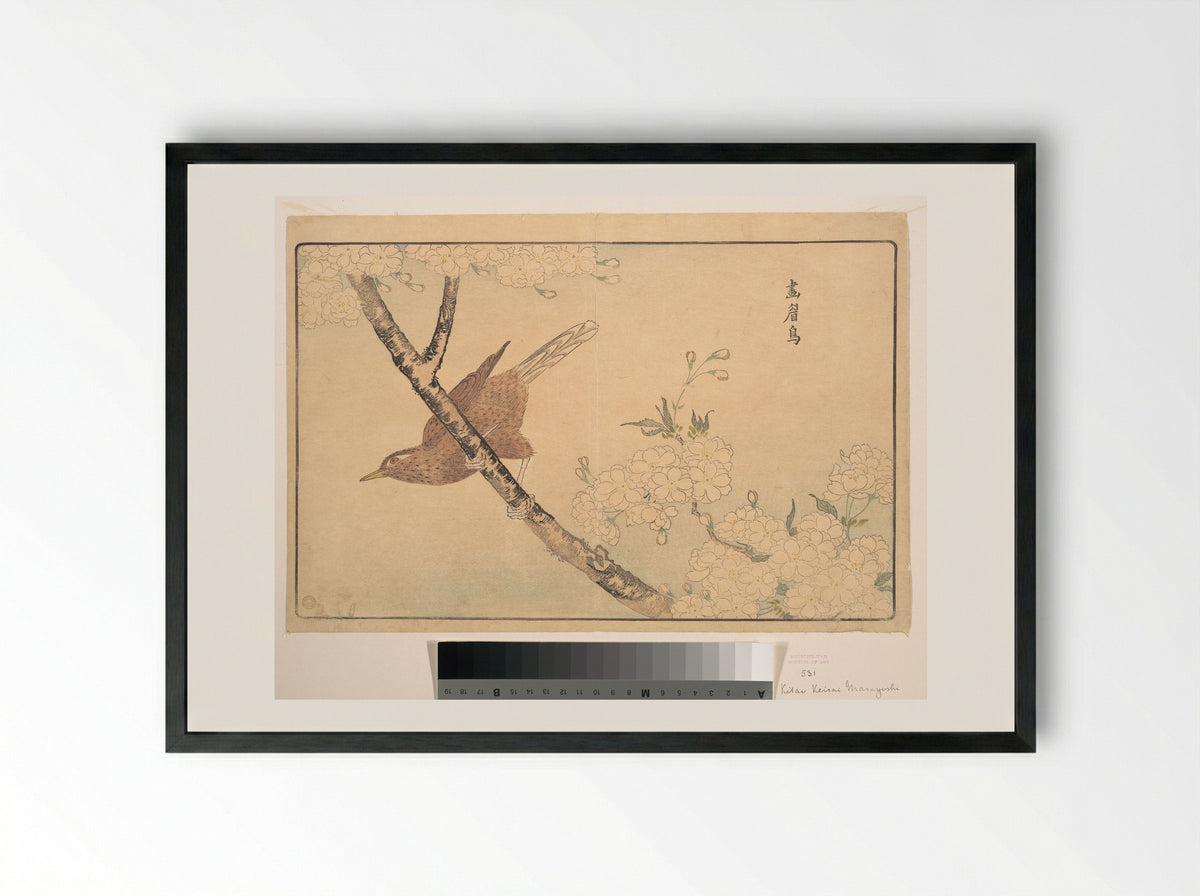The Gray Thrush - Kuwagata Keisai - Framed Print Black