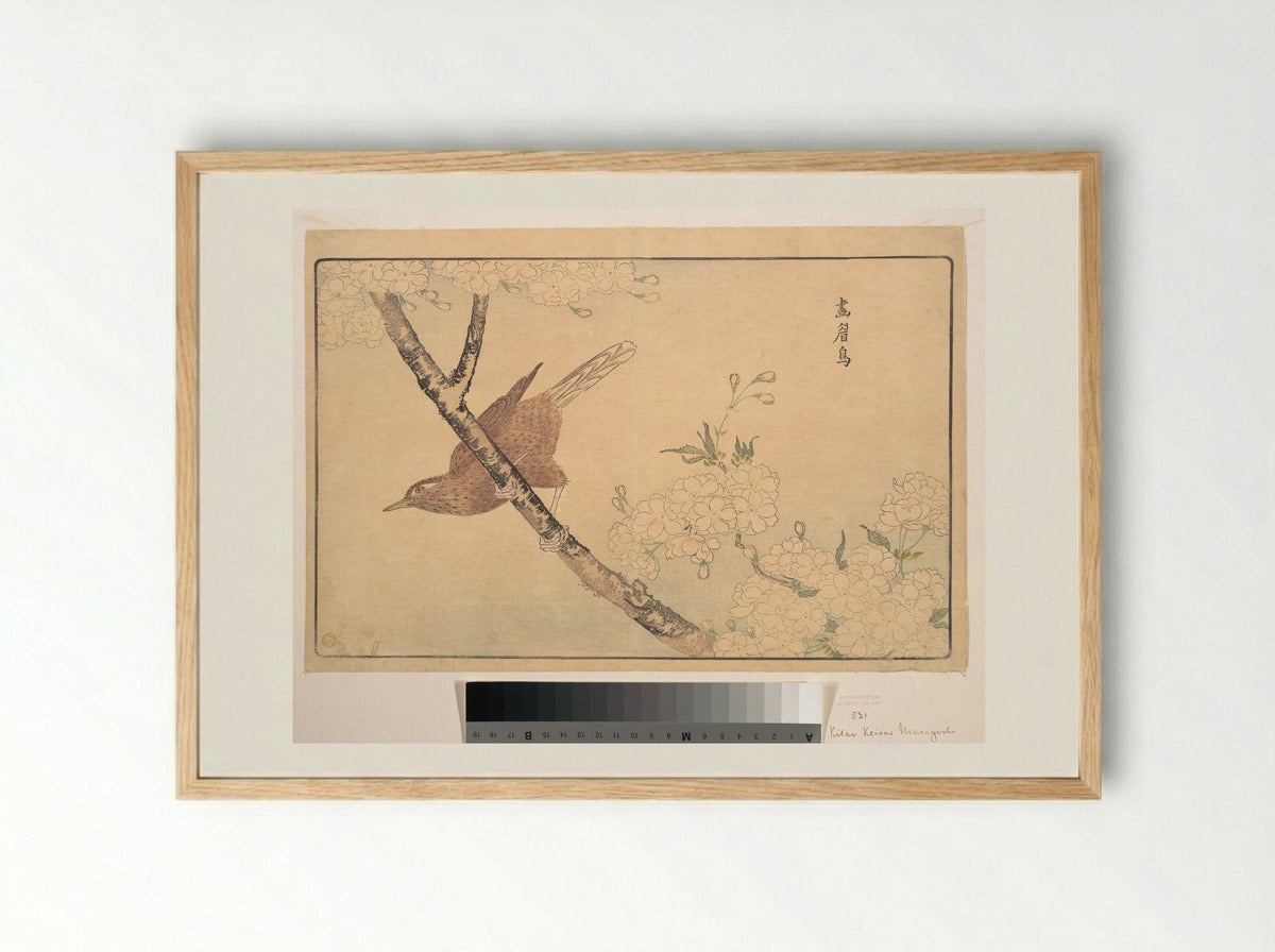 The Gray Thrush - Kuwagata Keisai - Framed Print Wood