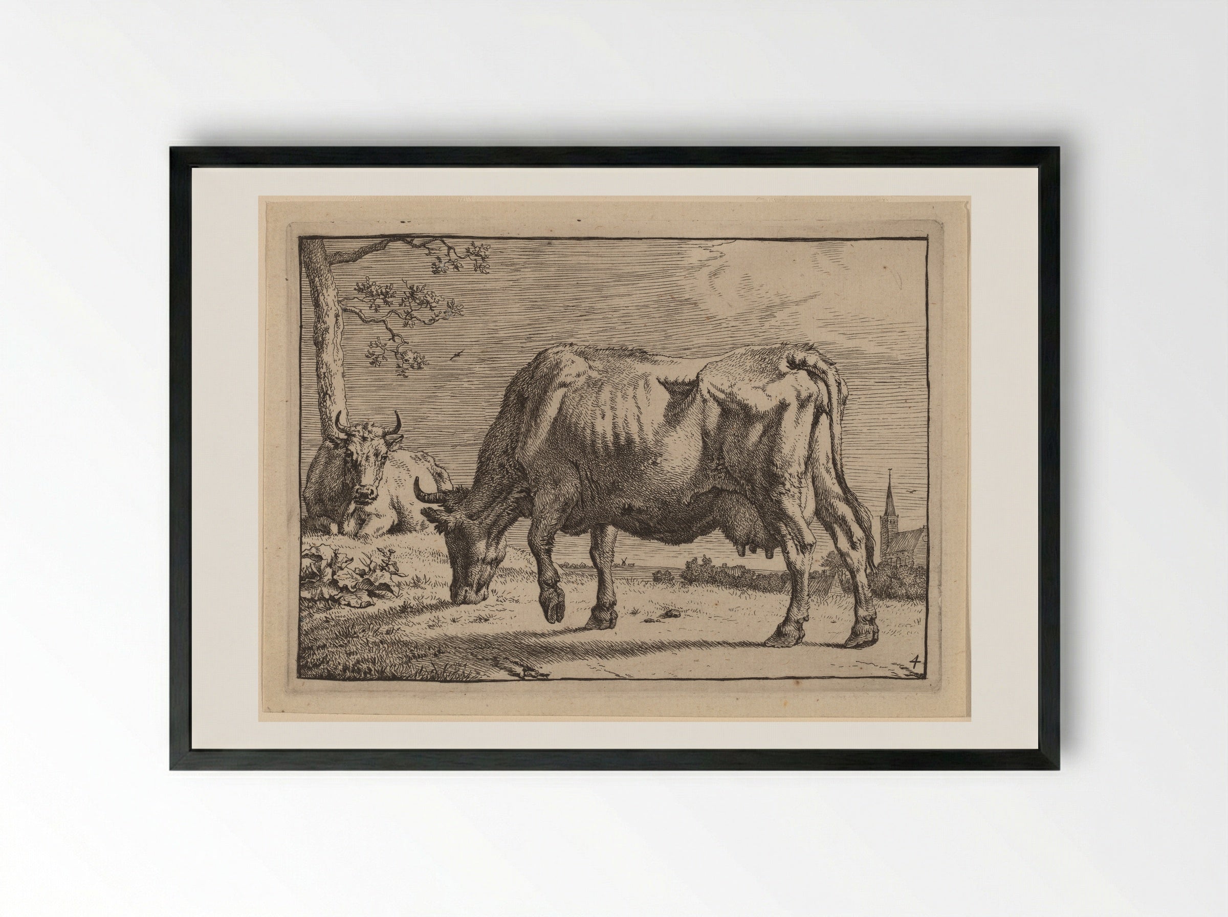 The Grazing Cow - Paulus Potter - Framed Print Black