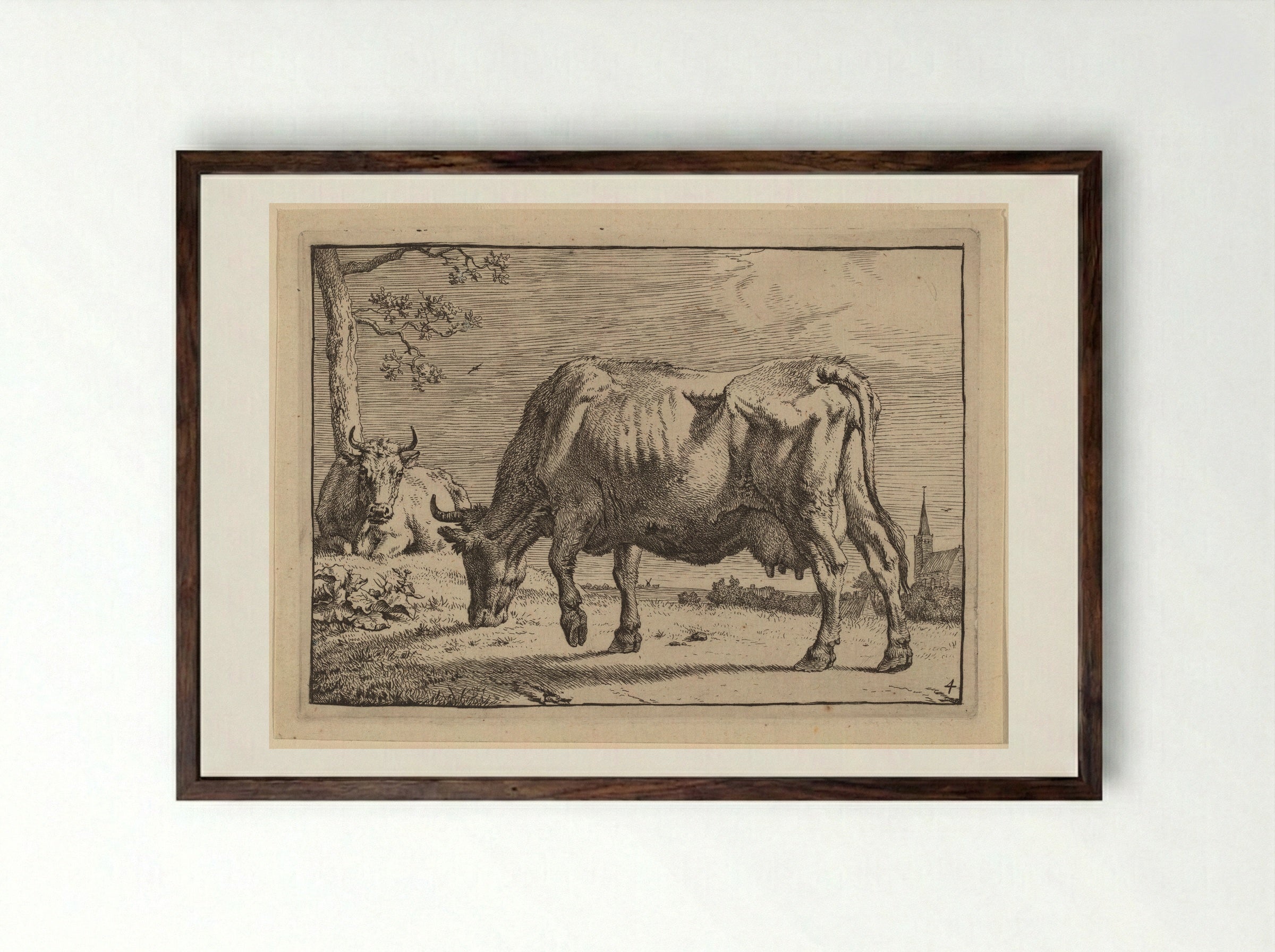 The Grazing Cow - Paulus Potter - Framed Print Dark Wood