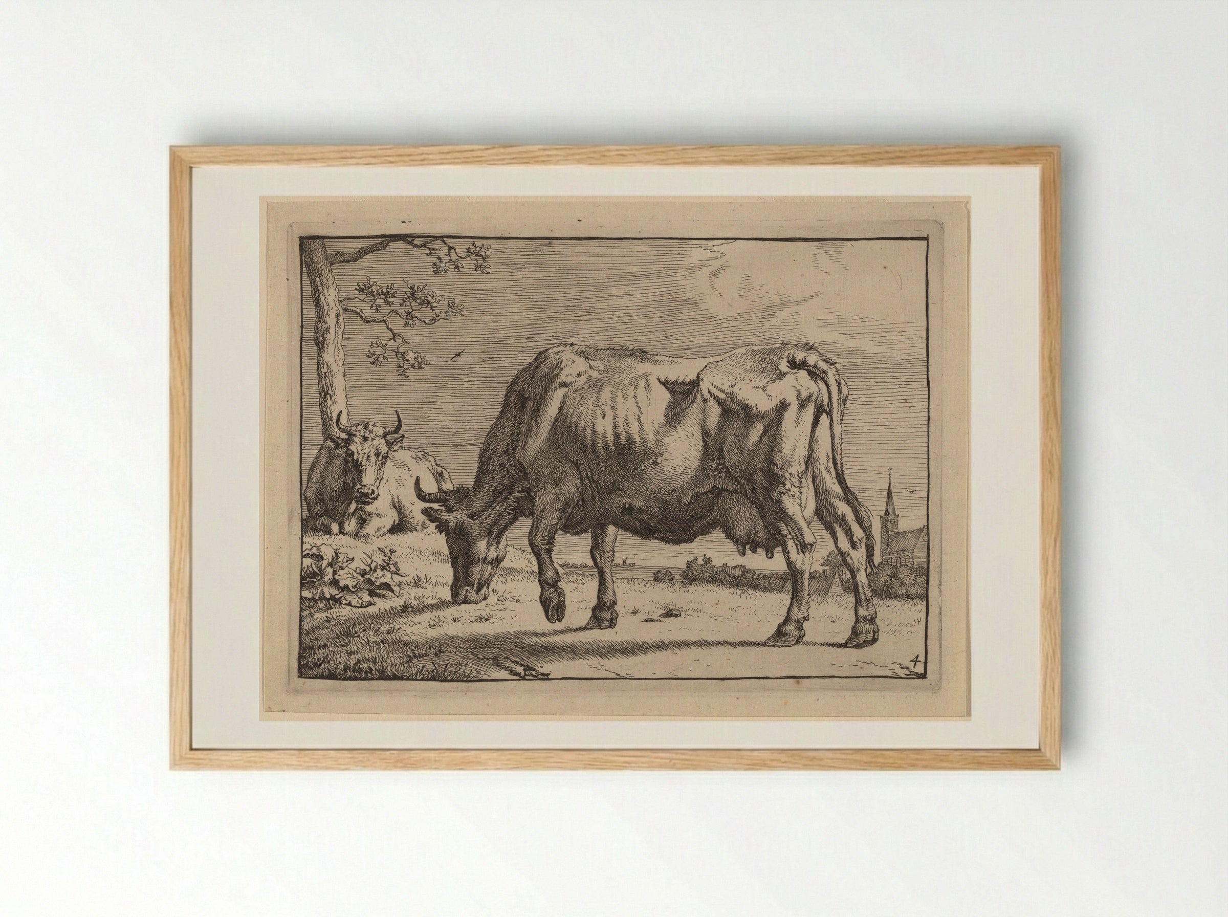 The Grazing Cow - Paulus Potter - Framed Print Wood