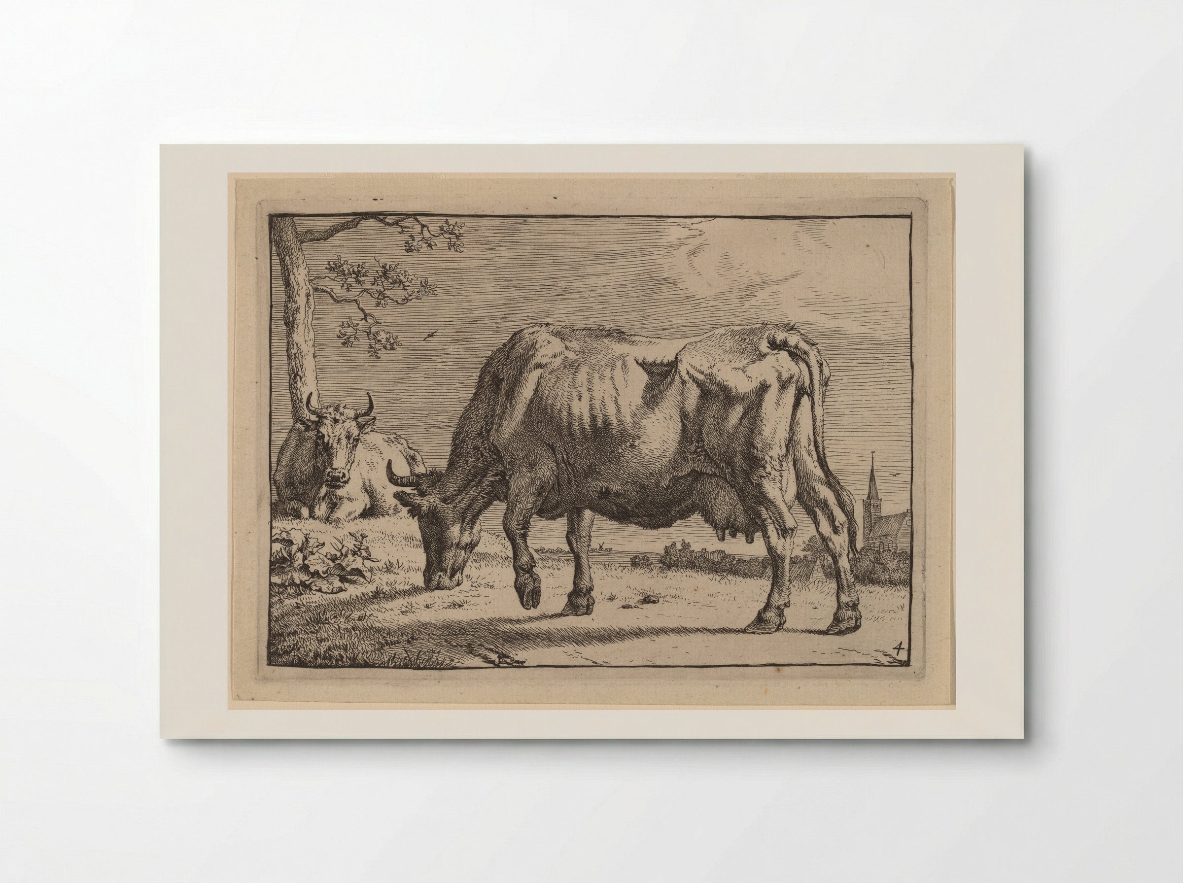 The Grazing Cow - Paulus Potter - Poster