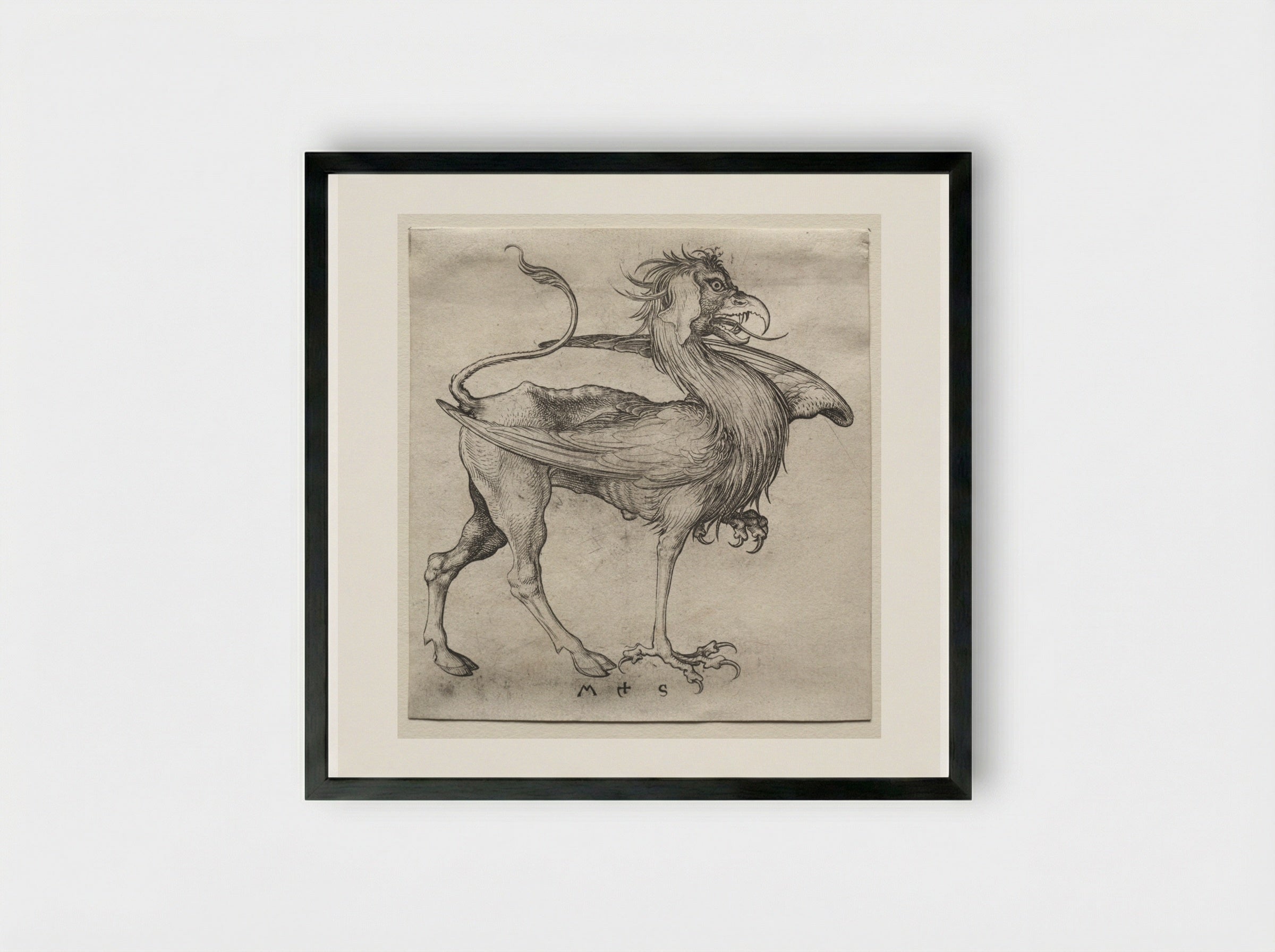 The Griffin - Martin Schongauer - Framed Print Black